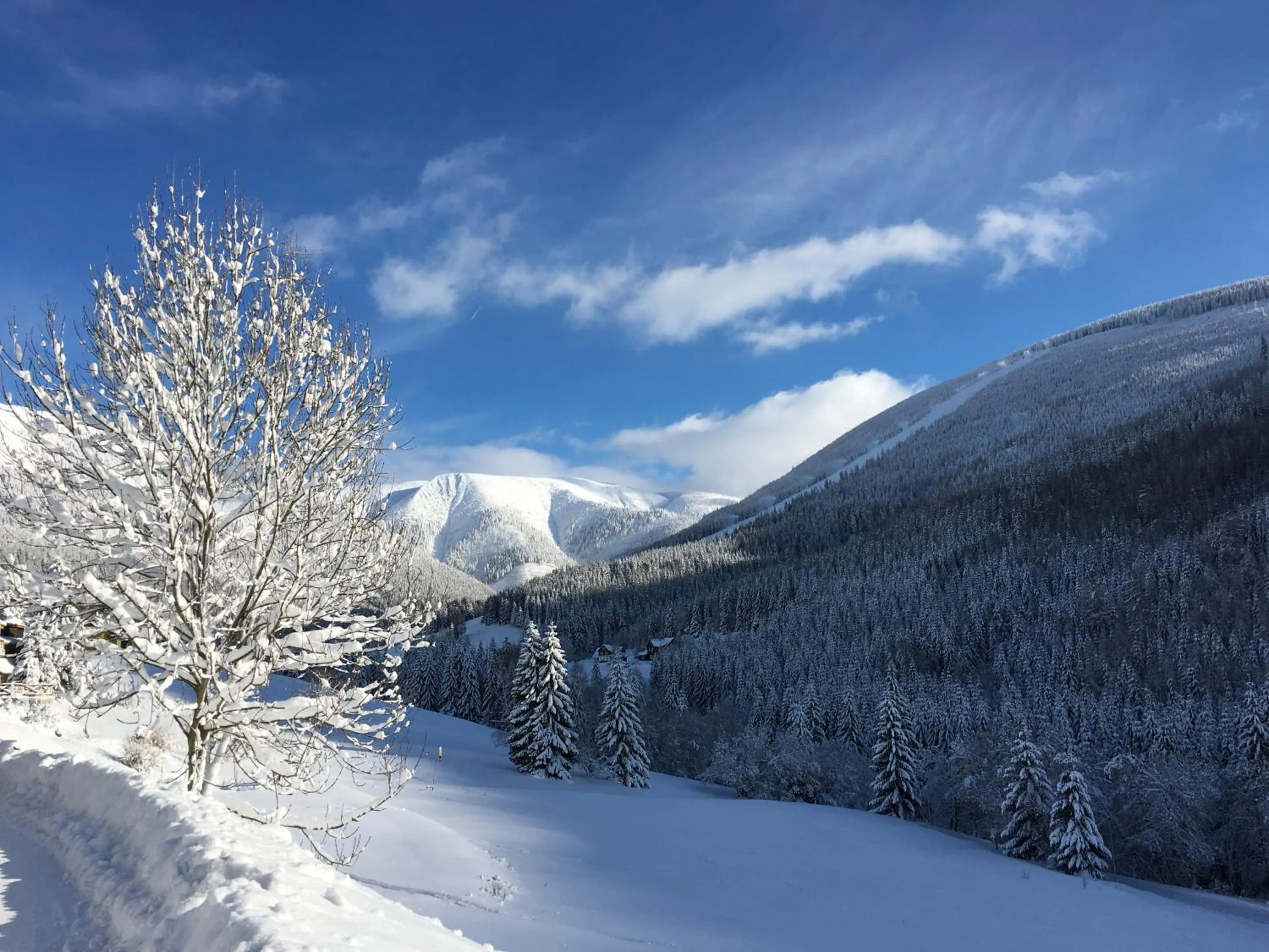 Natural landscape in Alpský Hotel
