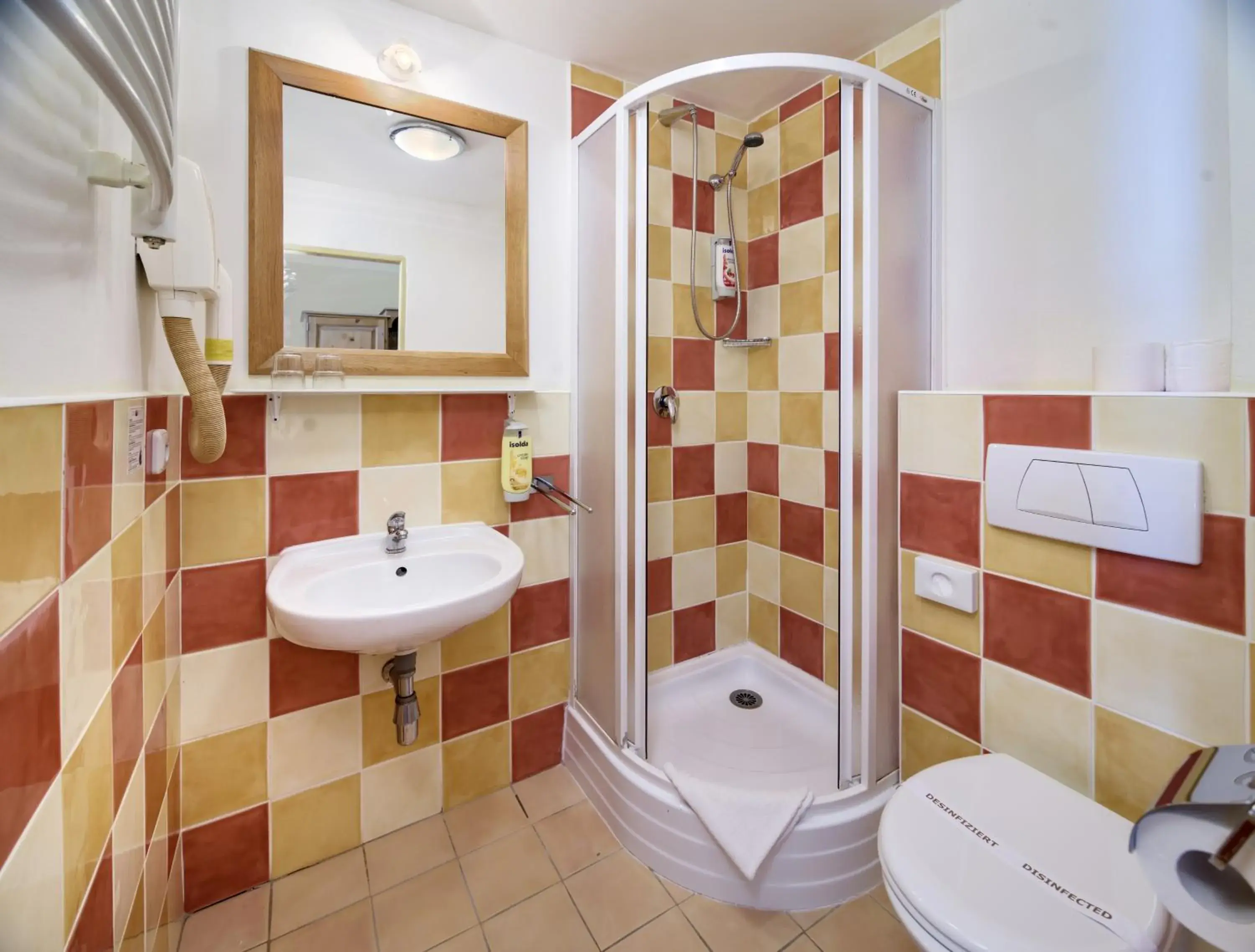 Double Room in Alpský Hotel Double Room in Alpský Hotel