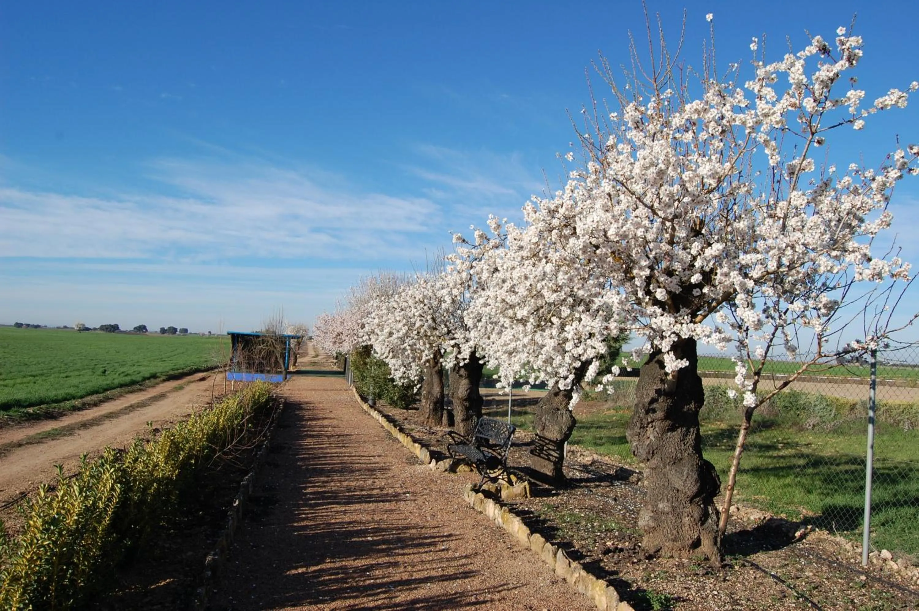 Area and facilities in Hotel El Cortijo de Daimiel