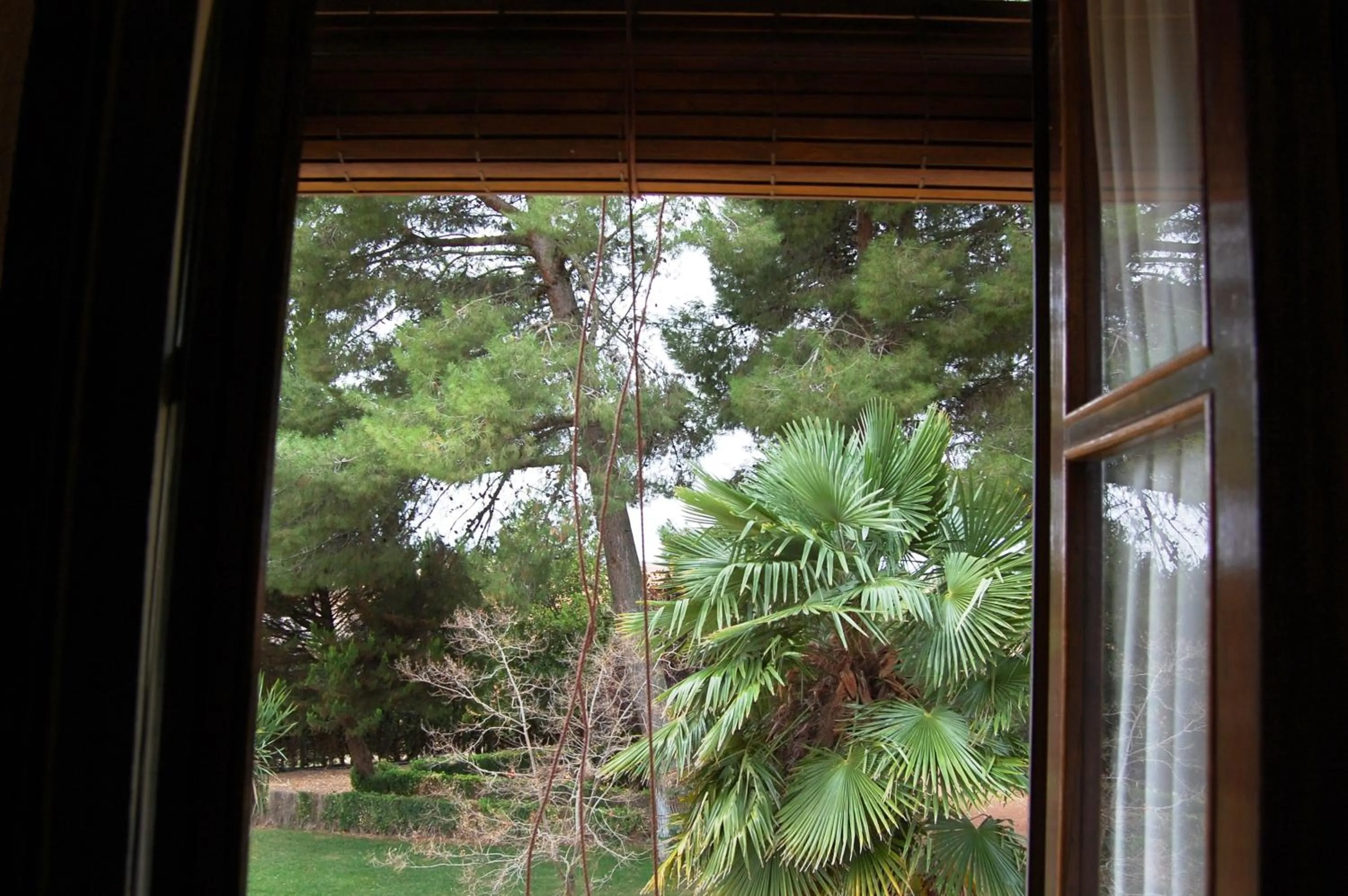 View (from property/room) in Hotel El Cortijo de Daimiel