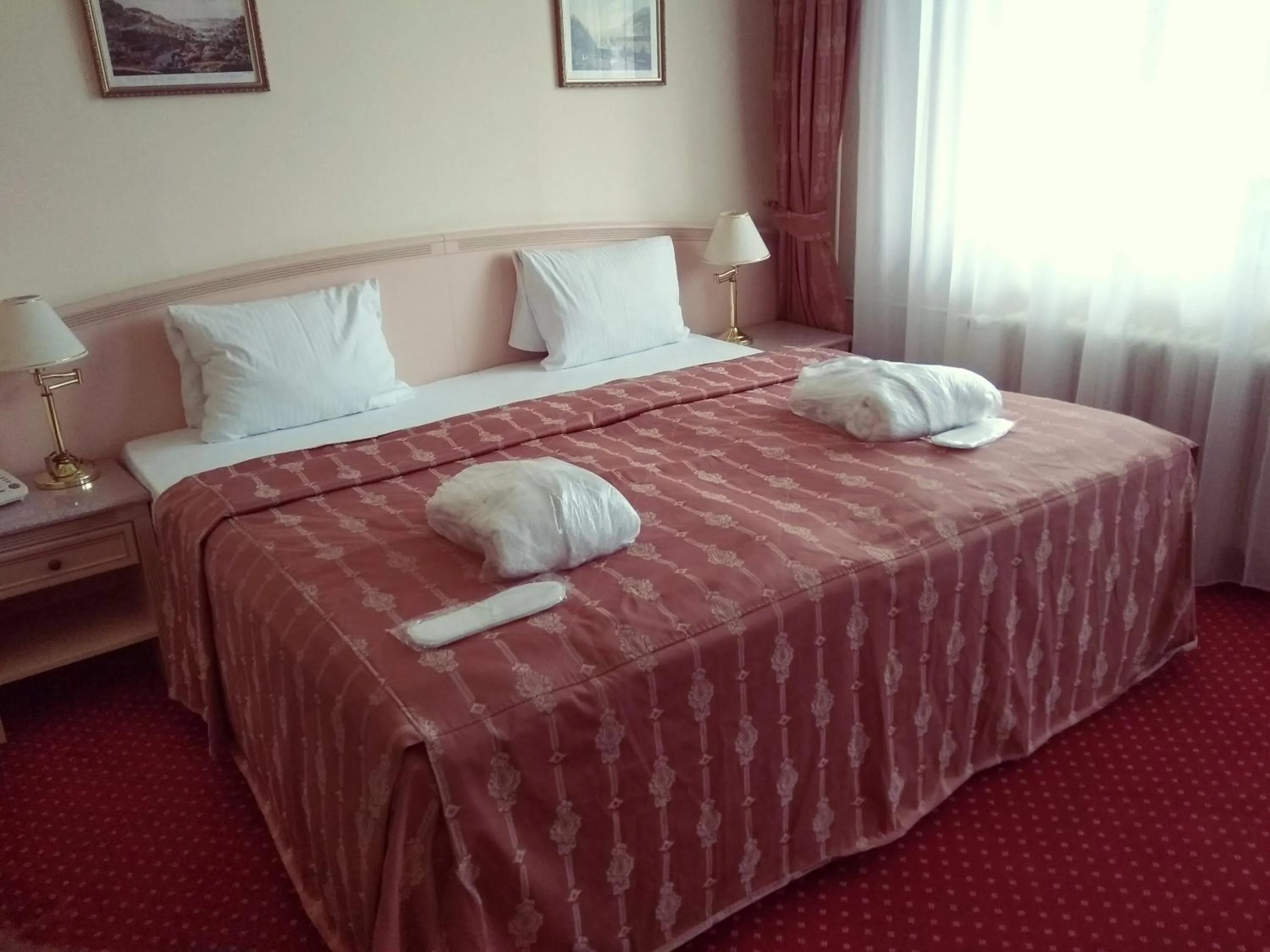 Photo of the whole room, Bed in Interhotel Central