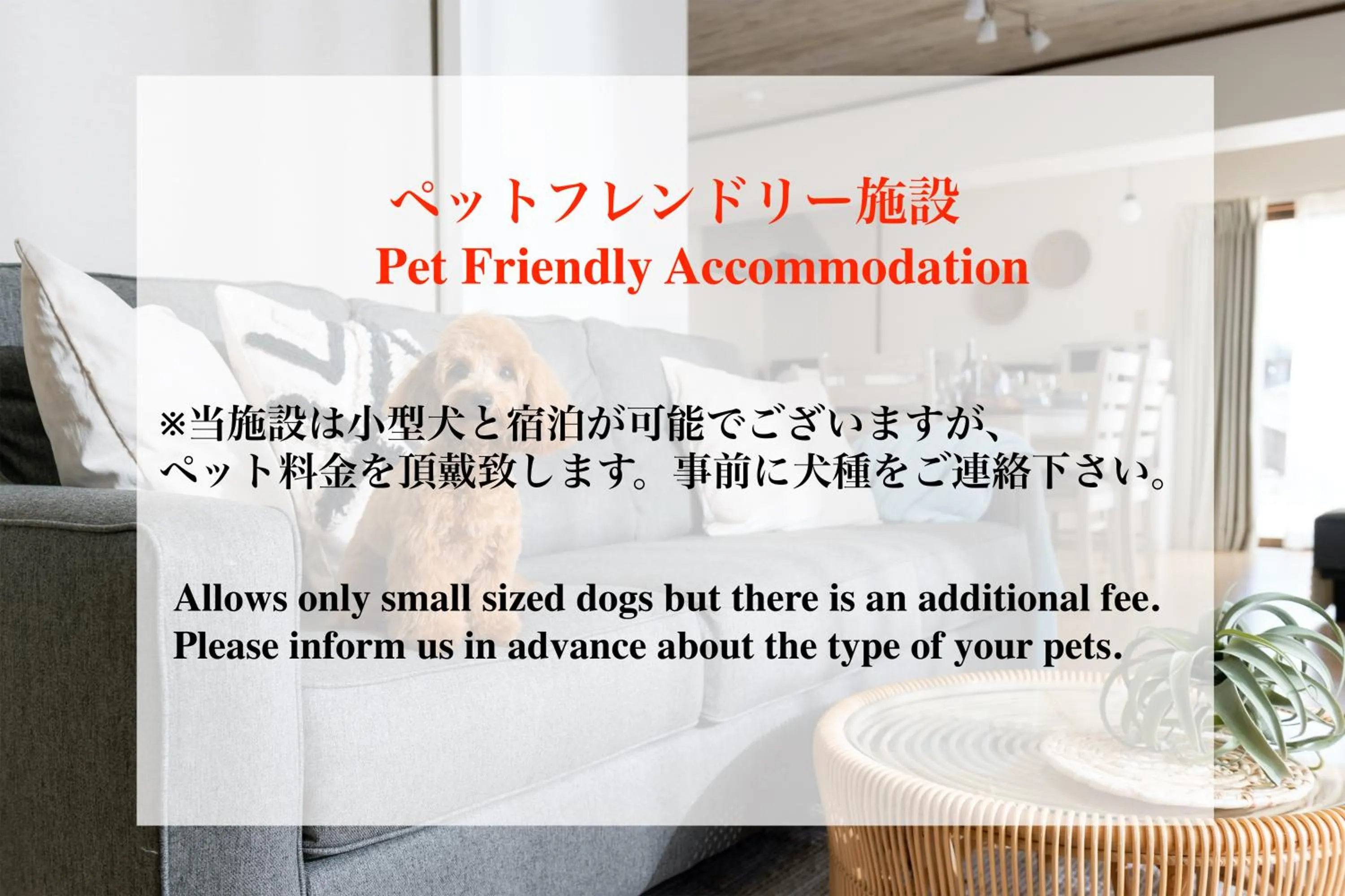 Pine House in Ginoza