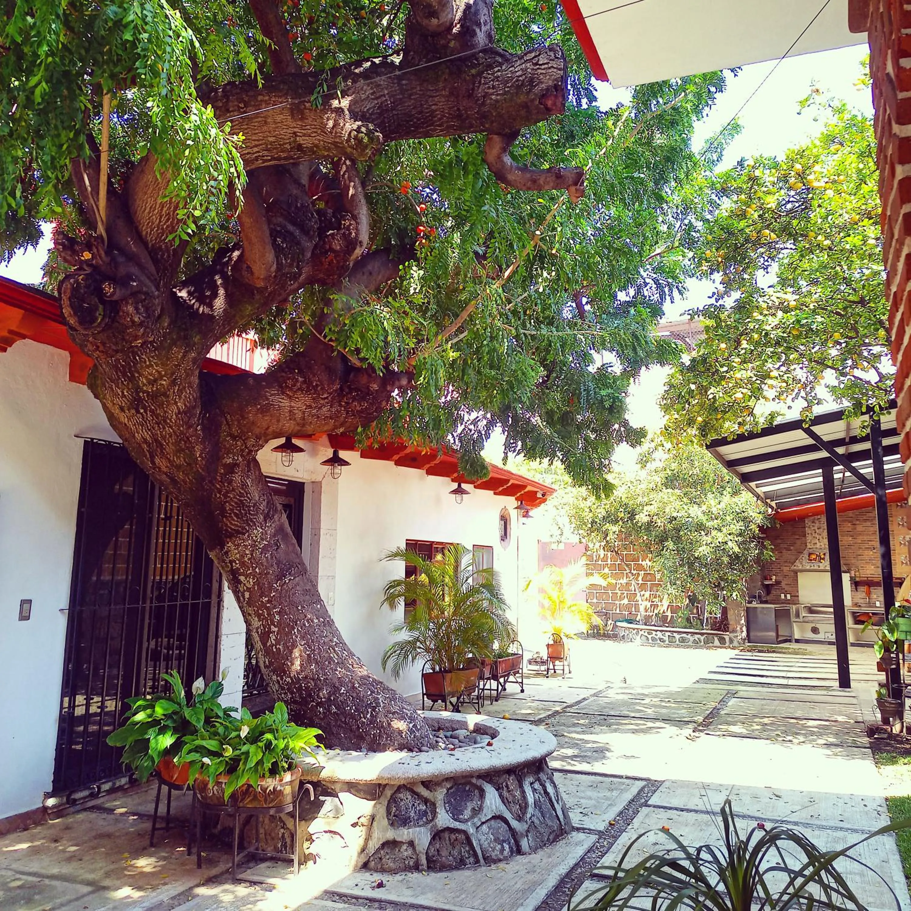 Villa familiar El Ciruelo