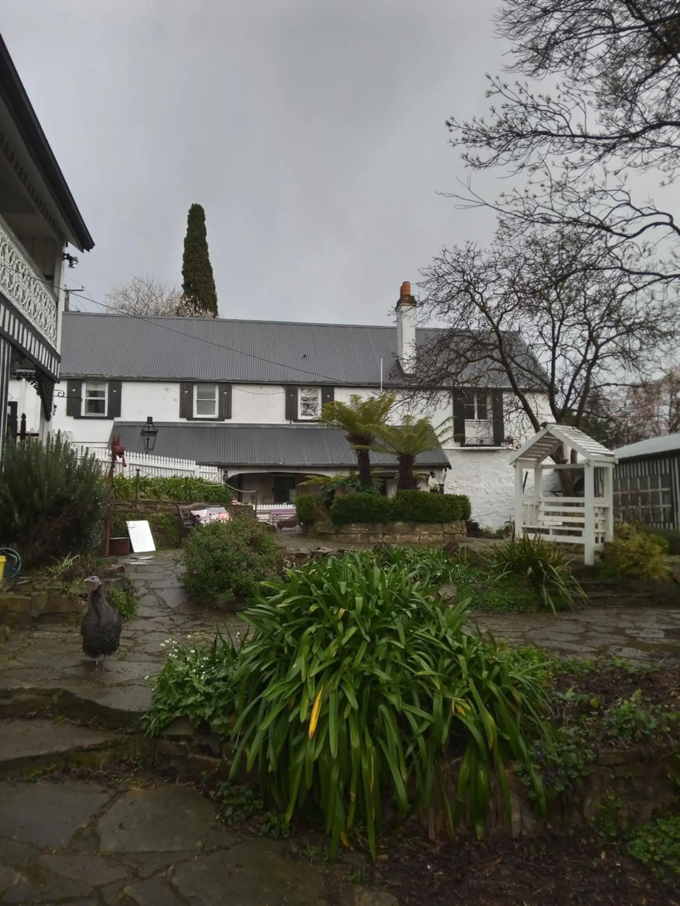 Old Colony Inn Old Colony Inn