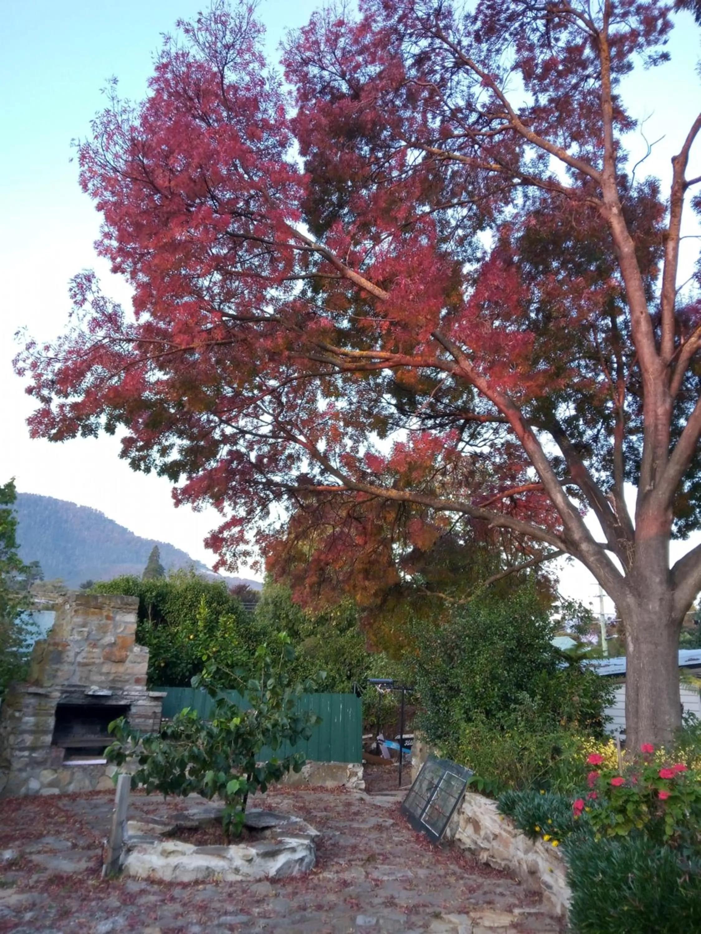 View (from property/room) in Old Colony Inn