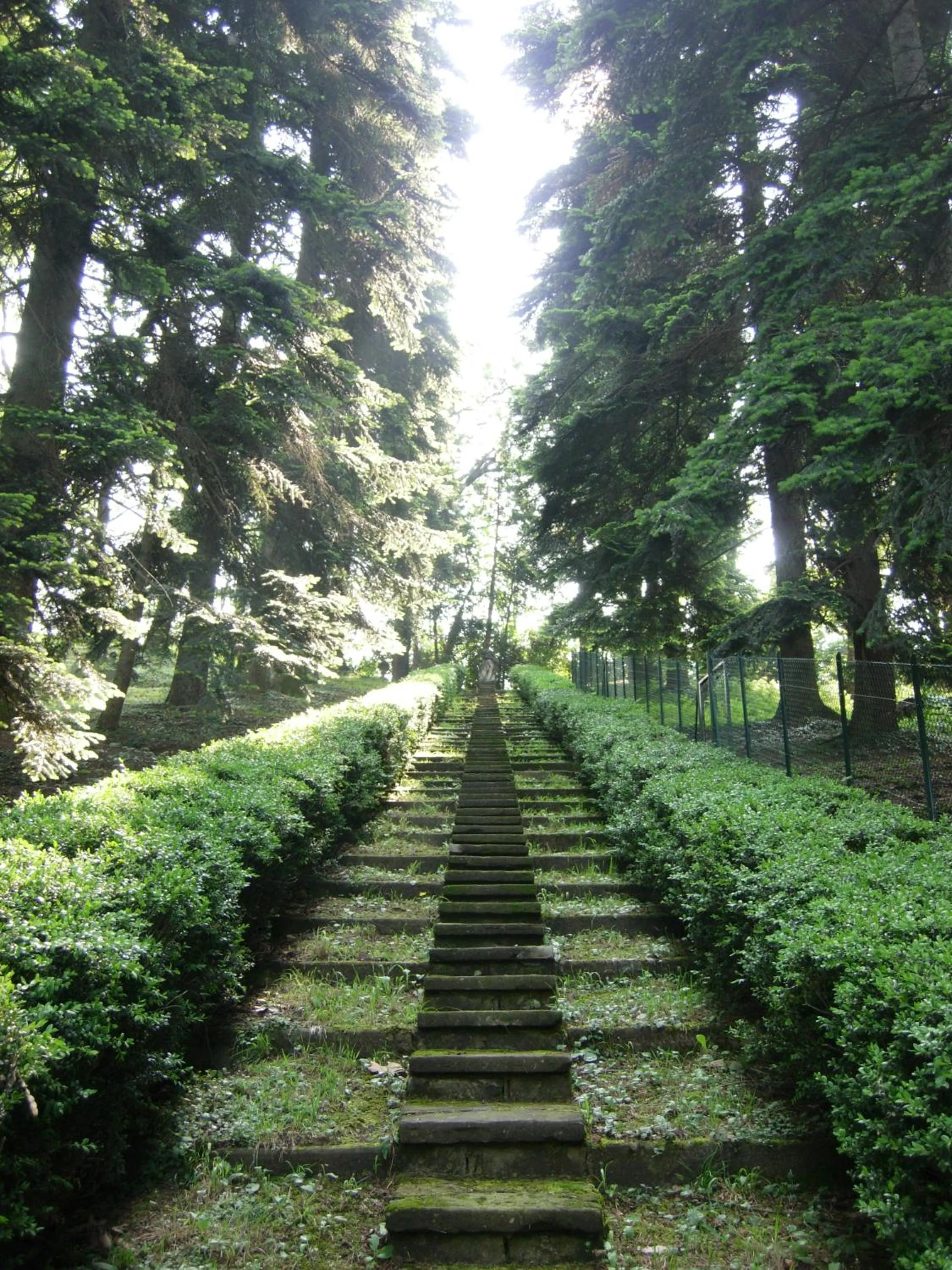 Garden view in Il Colombé B&B