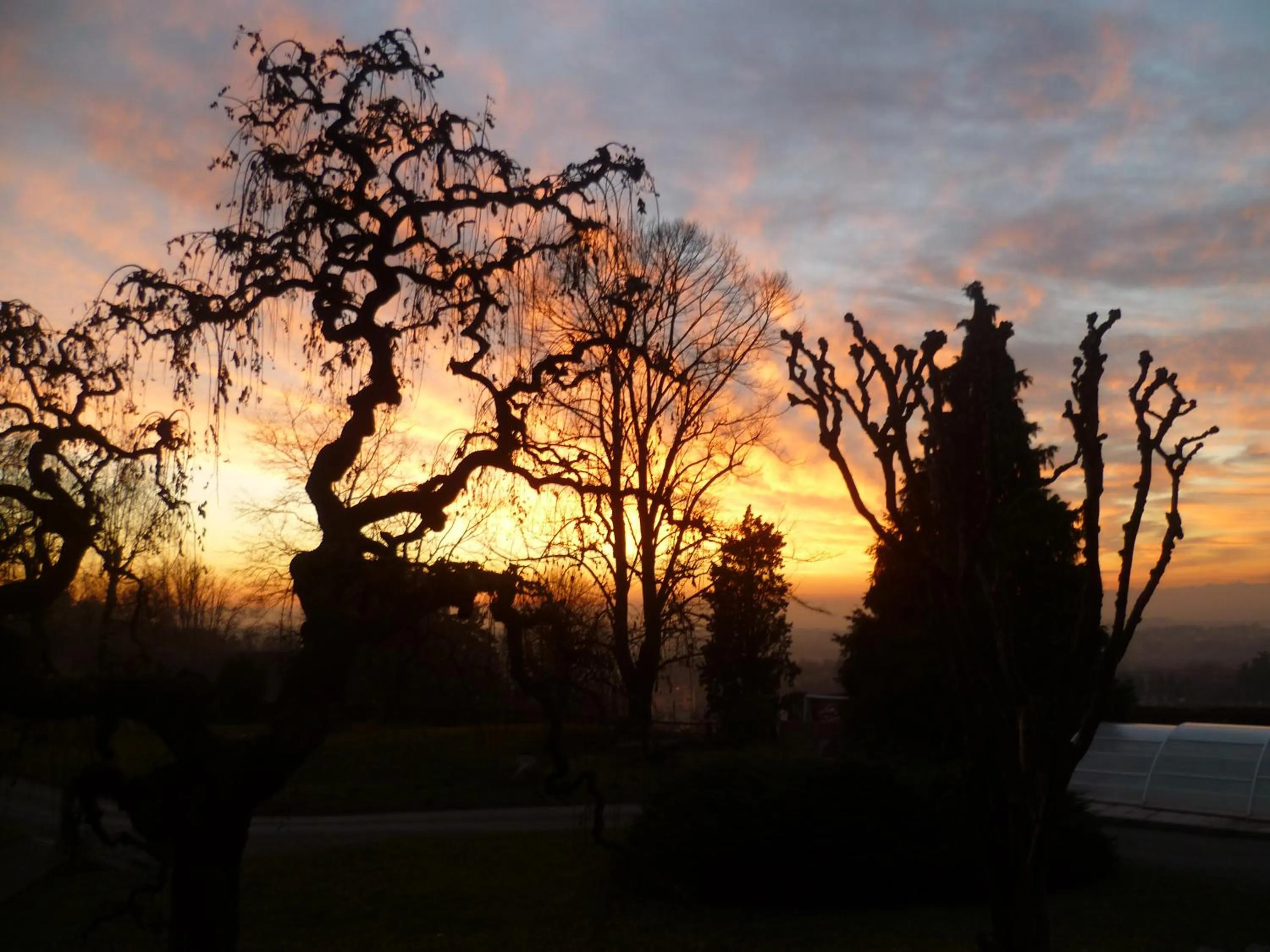 View (from property/room) in Il Colombé B&B
