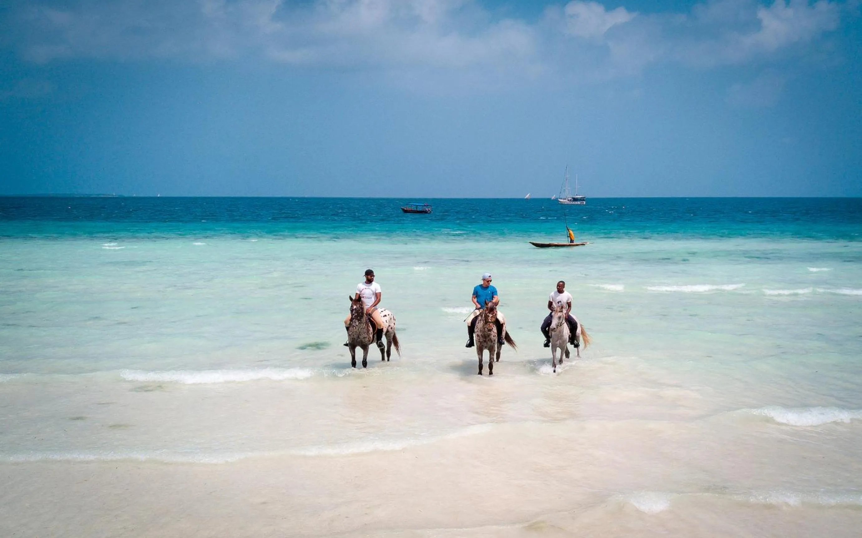 Horse-riding in Z Hotel & Z2 Hotel