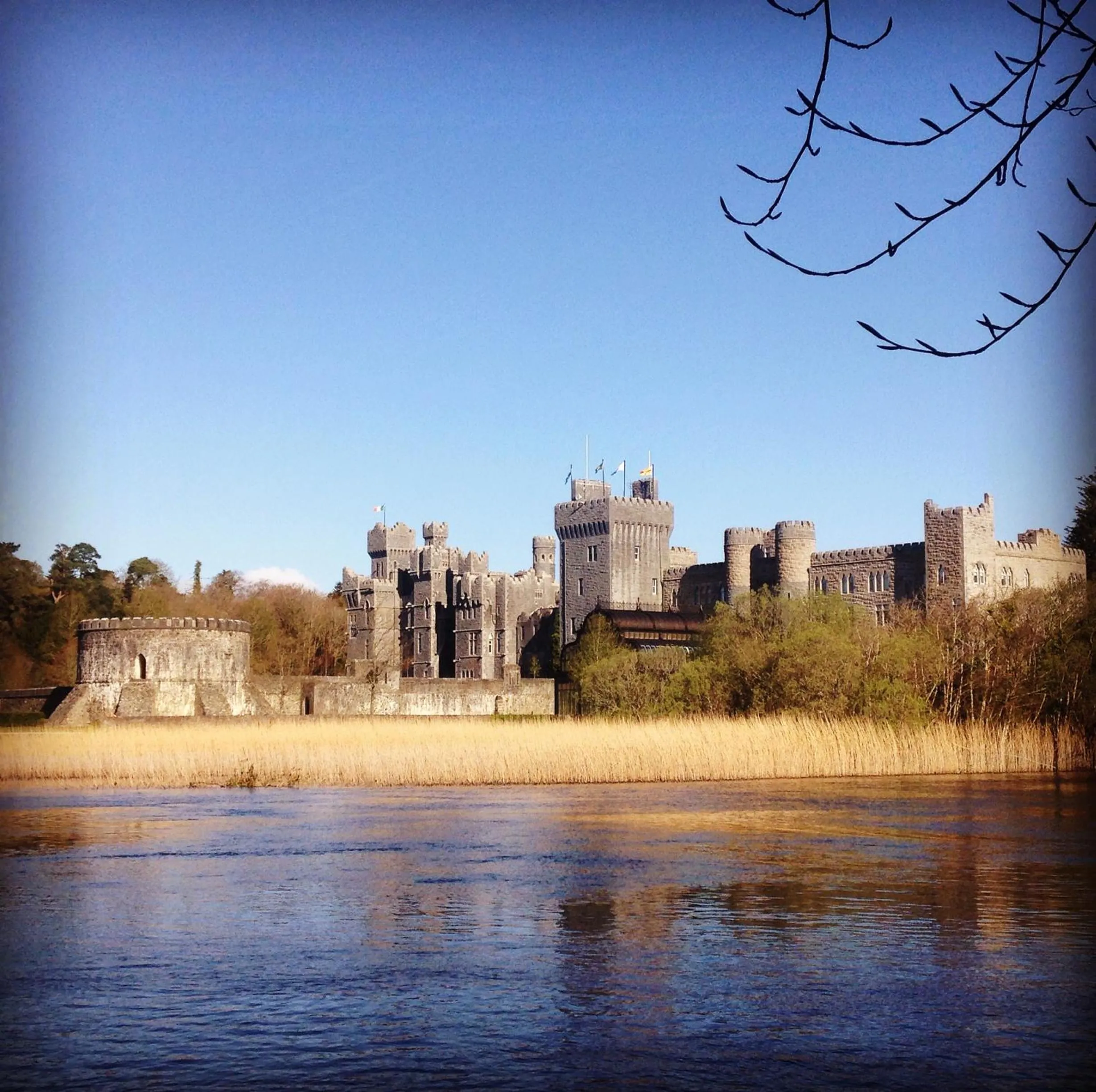 Nearby landmark in Ryan's River Lodge B&B
