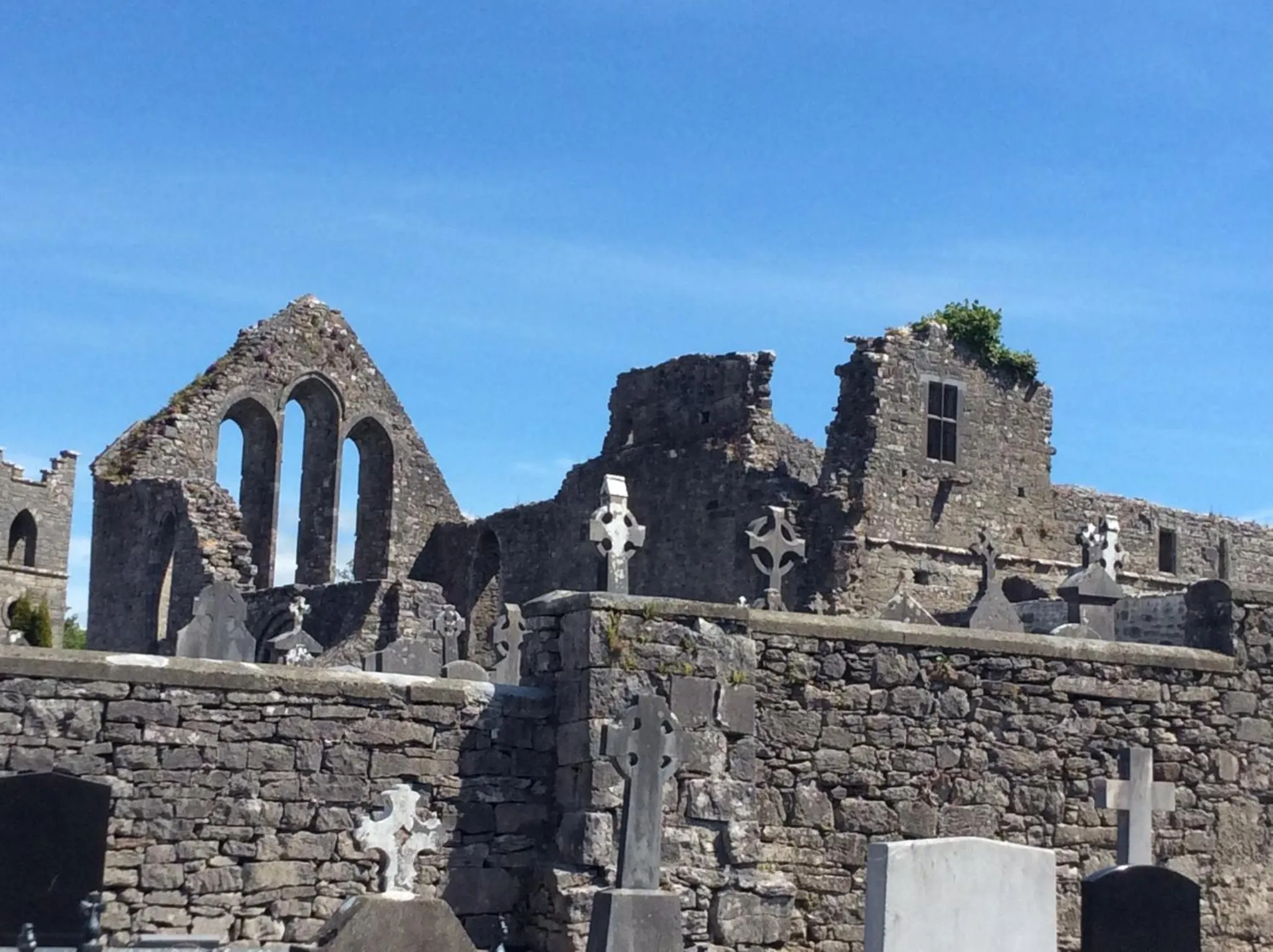 Ryan's River Lodge B&B