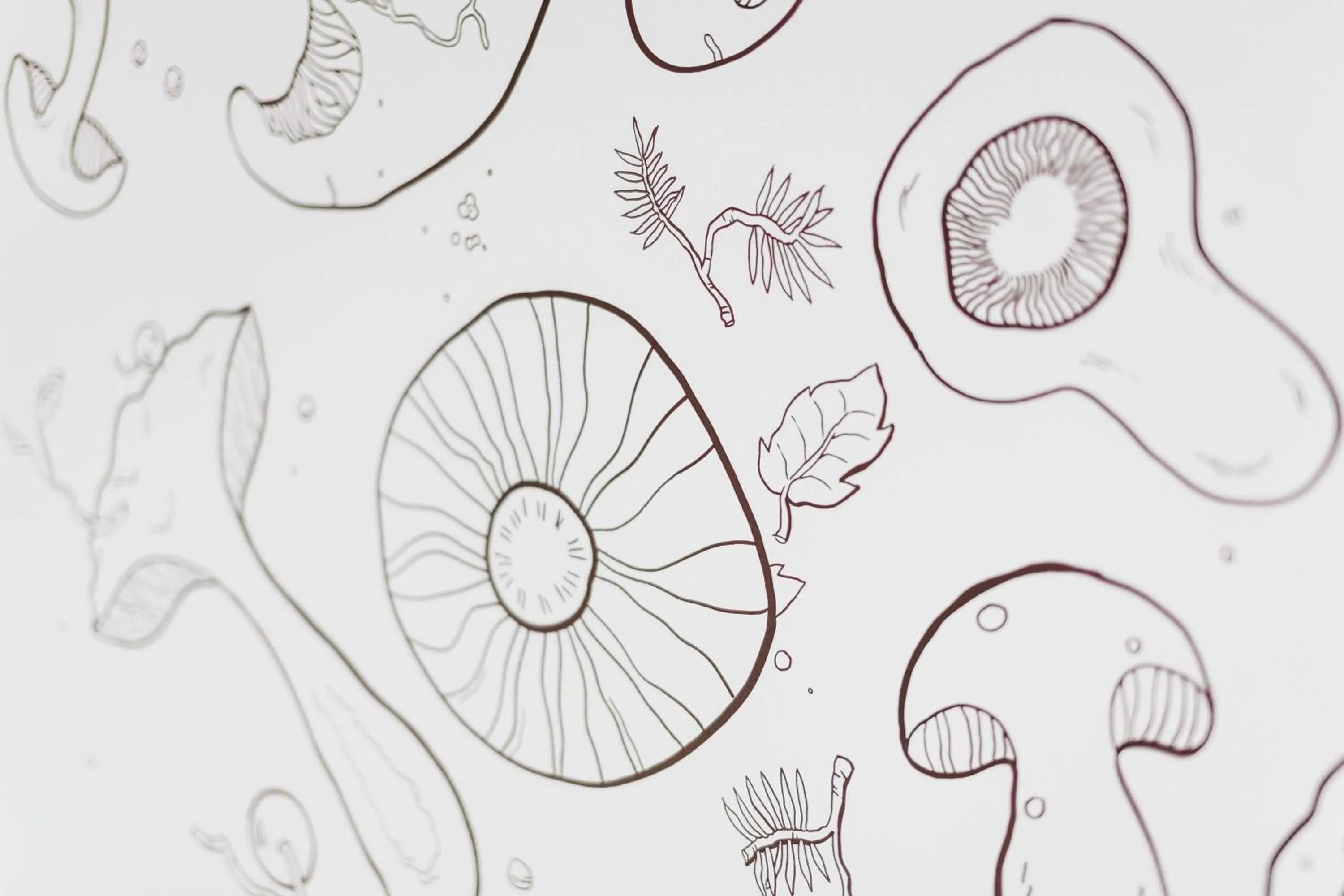 Other in Wellness Hotel Grand