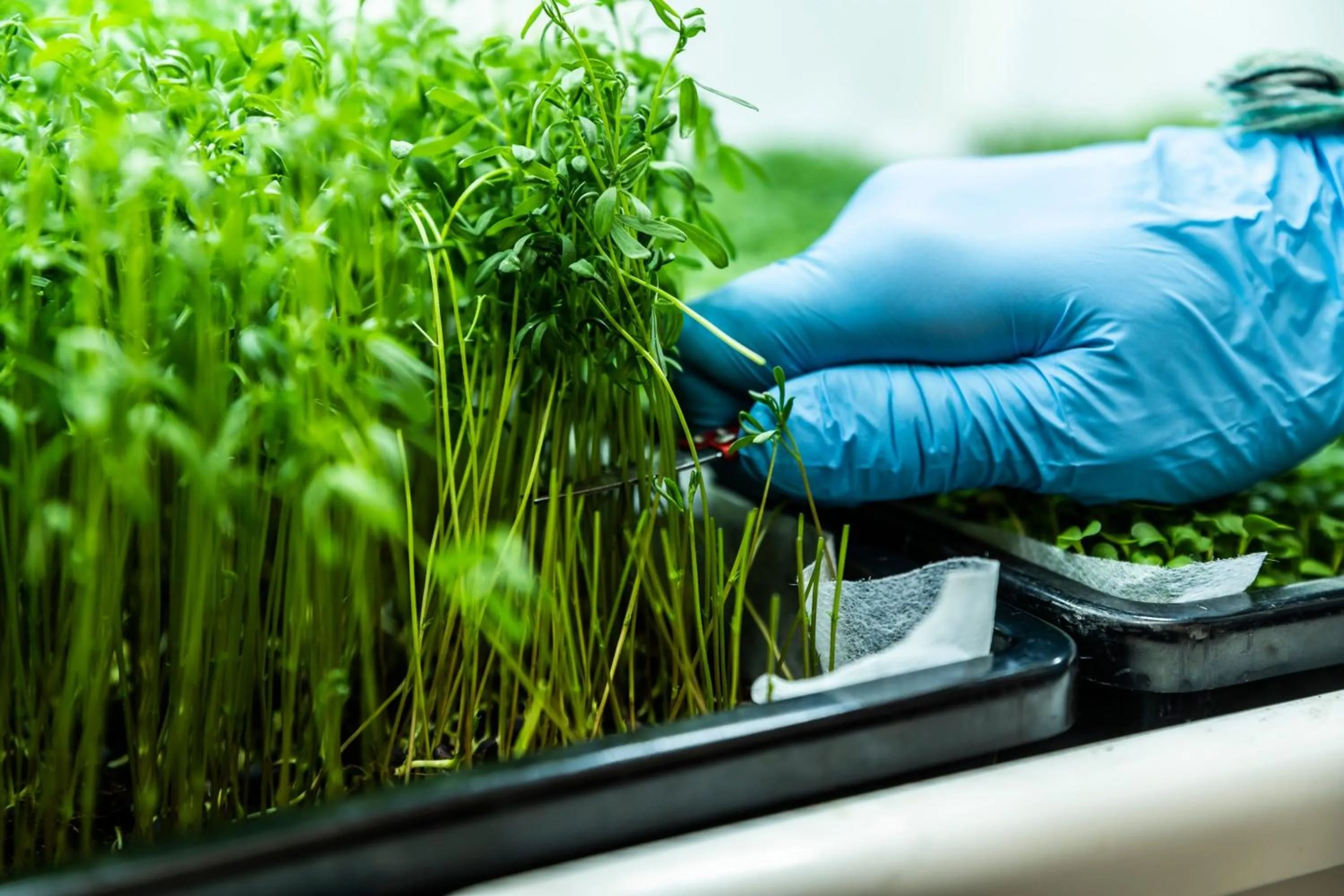 Restaurant/places to eat in Prague Marriott Hotel