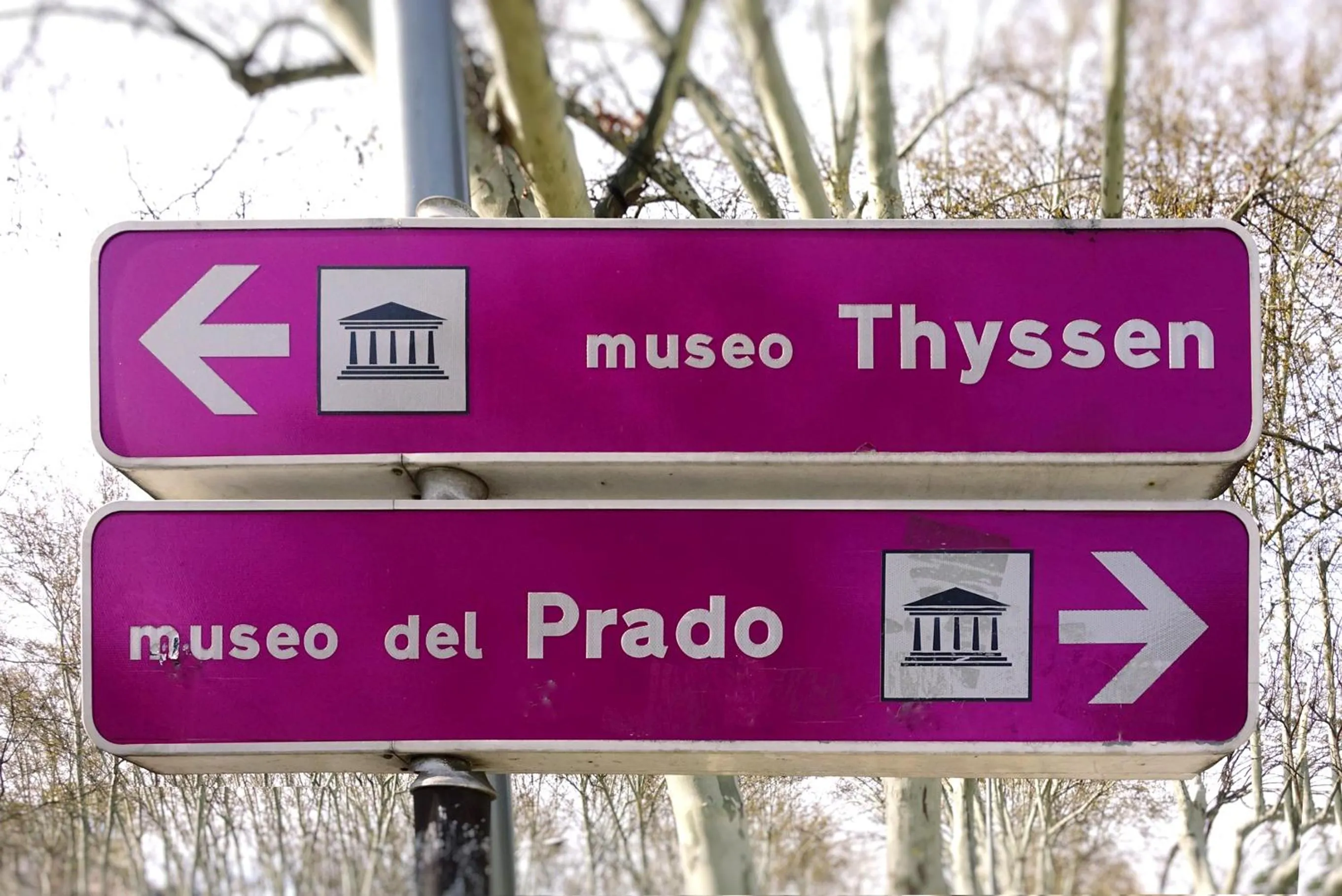 Area and facilities in Woohoo Rooms Boutique Sol