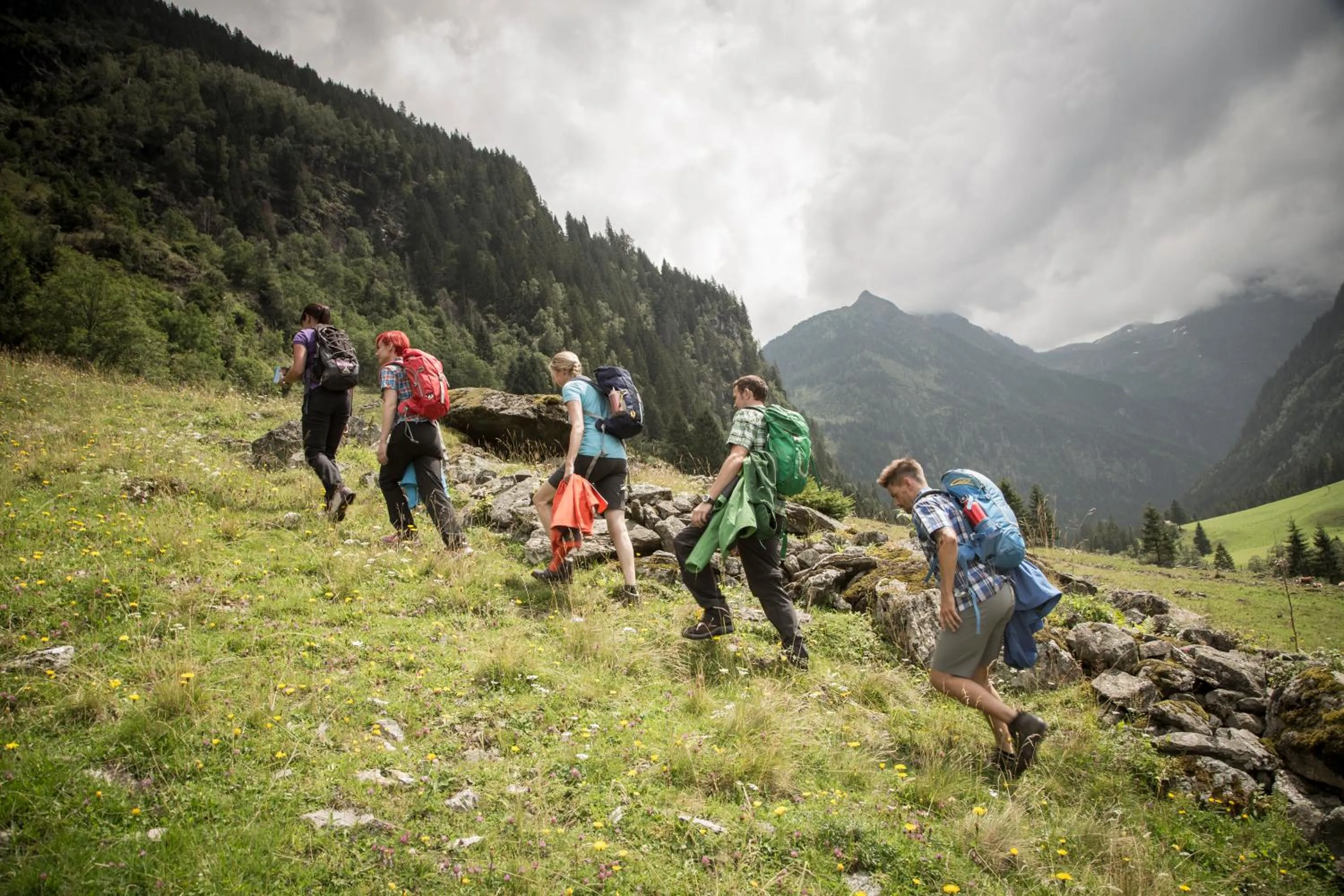 Natural landscape in TUI BLUE Schladming