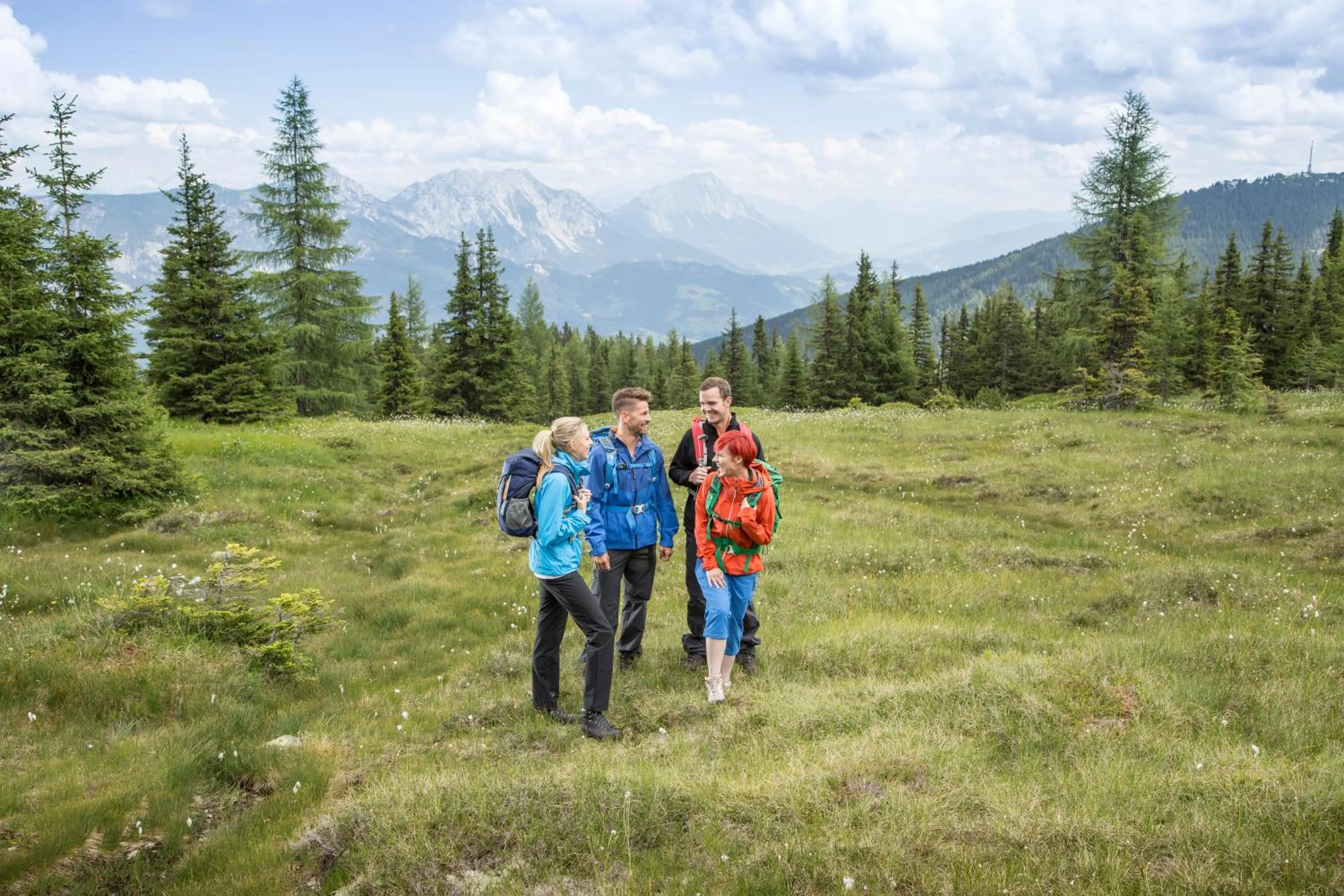 Natural landscape in TUI BLUE Schladming