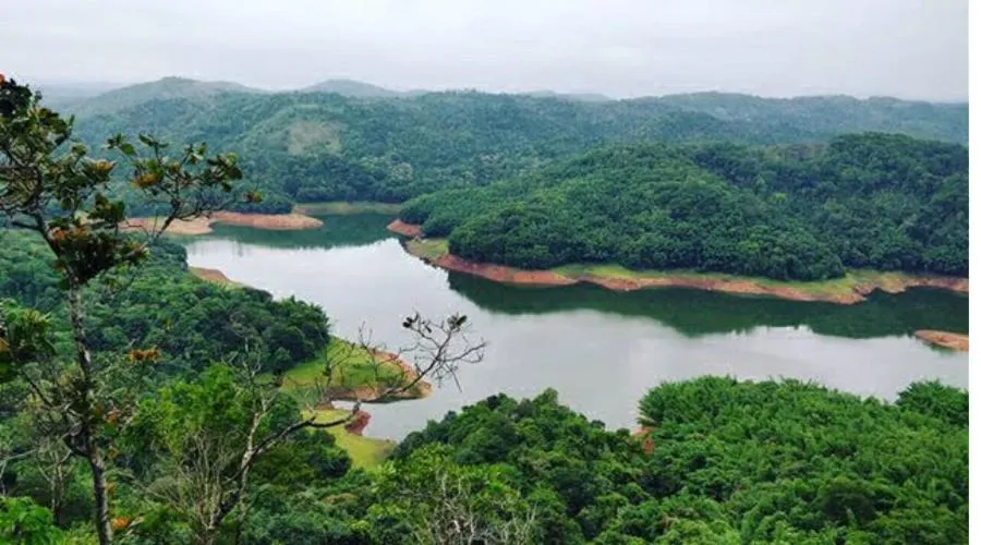 Bird's-eye View in Lemon Grass Inn