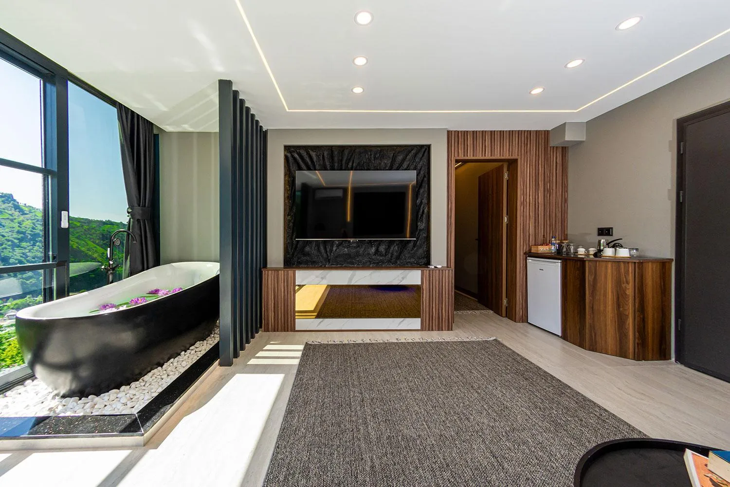 TV and multimedia in Pavri suit bungalov