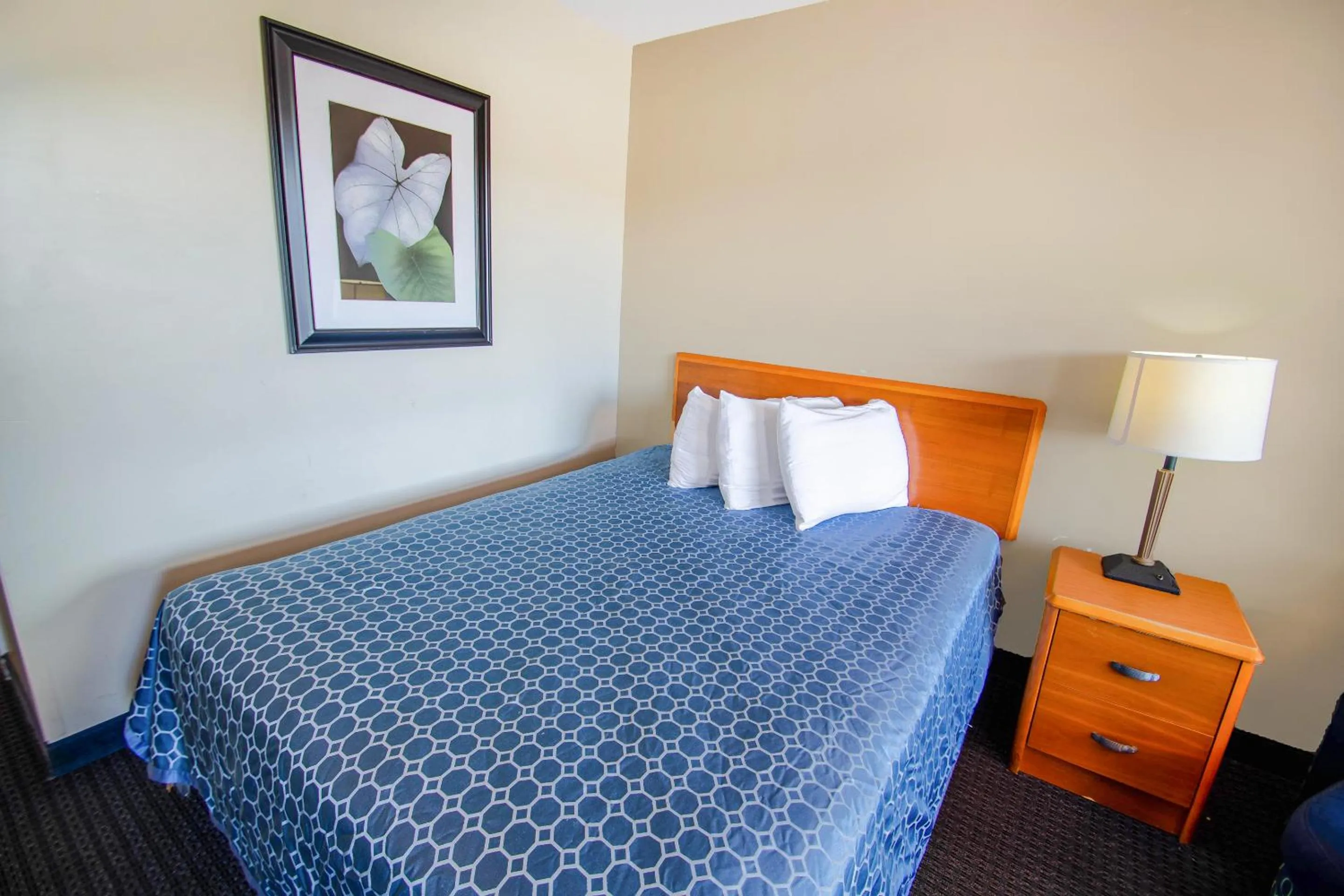 Bedroom, Bed in Sportsman's Inn Plymouth 252-793-3095