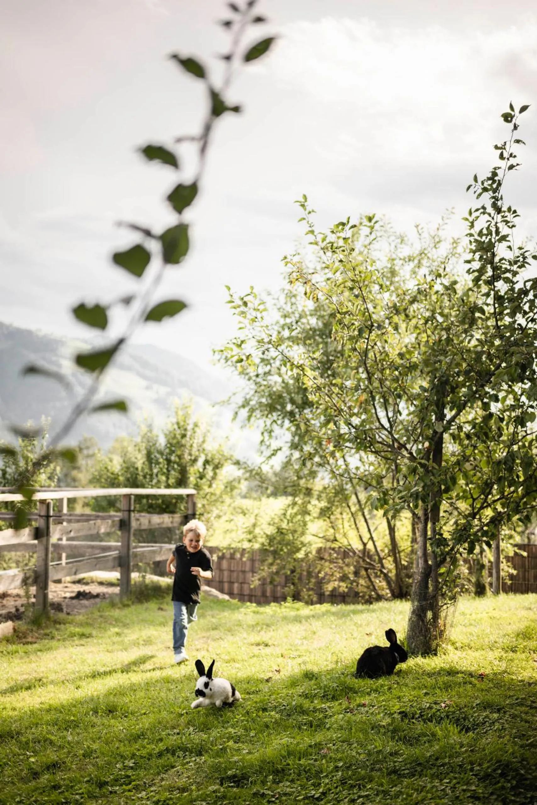 Wohlfühlresort Peternhof