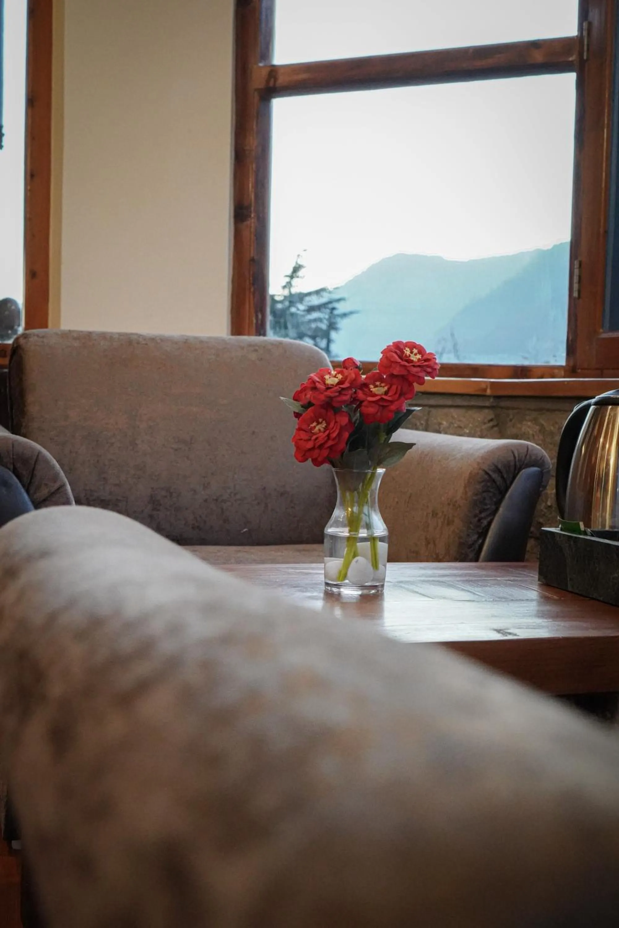 View (from property/room) in Amarys Boutique Stays Manali