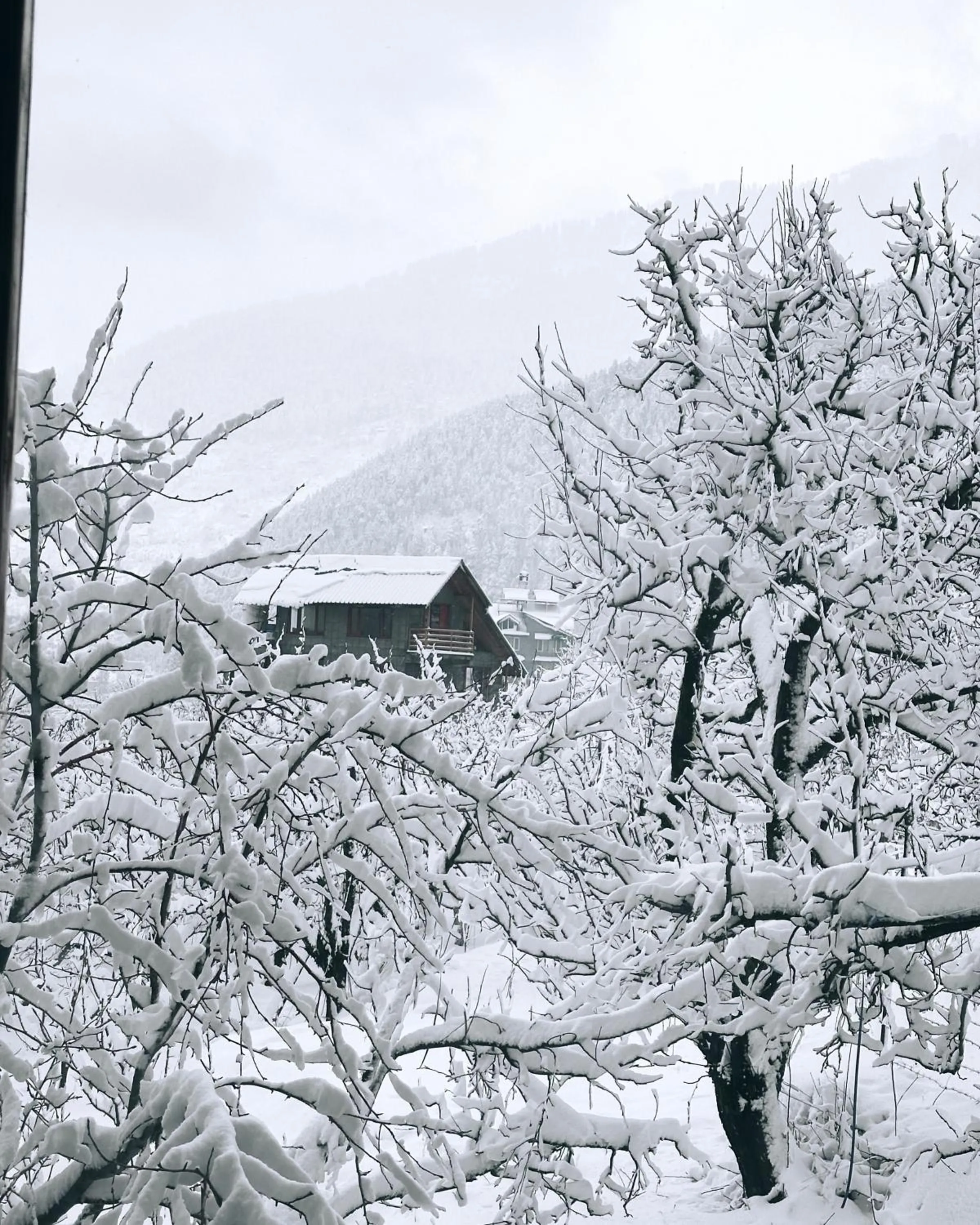 Winter in Amarys Boutique Stays Manali