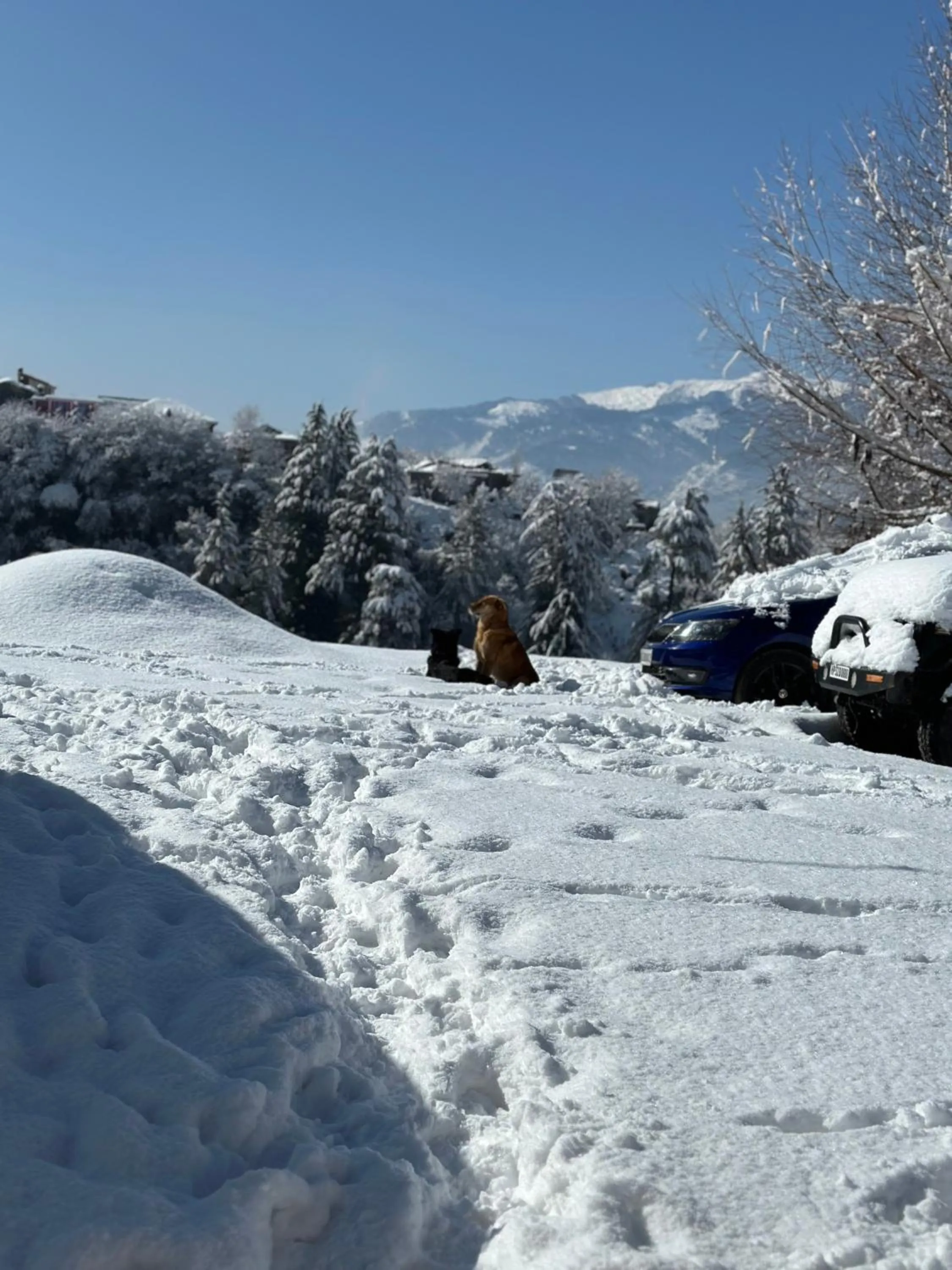 Winter in Amarys Boutique Stays Manali