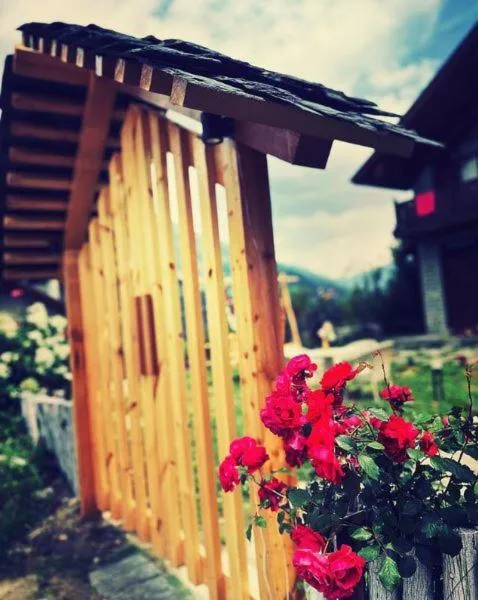Garden view in Amarys Boutique Stays Manali