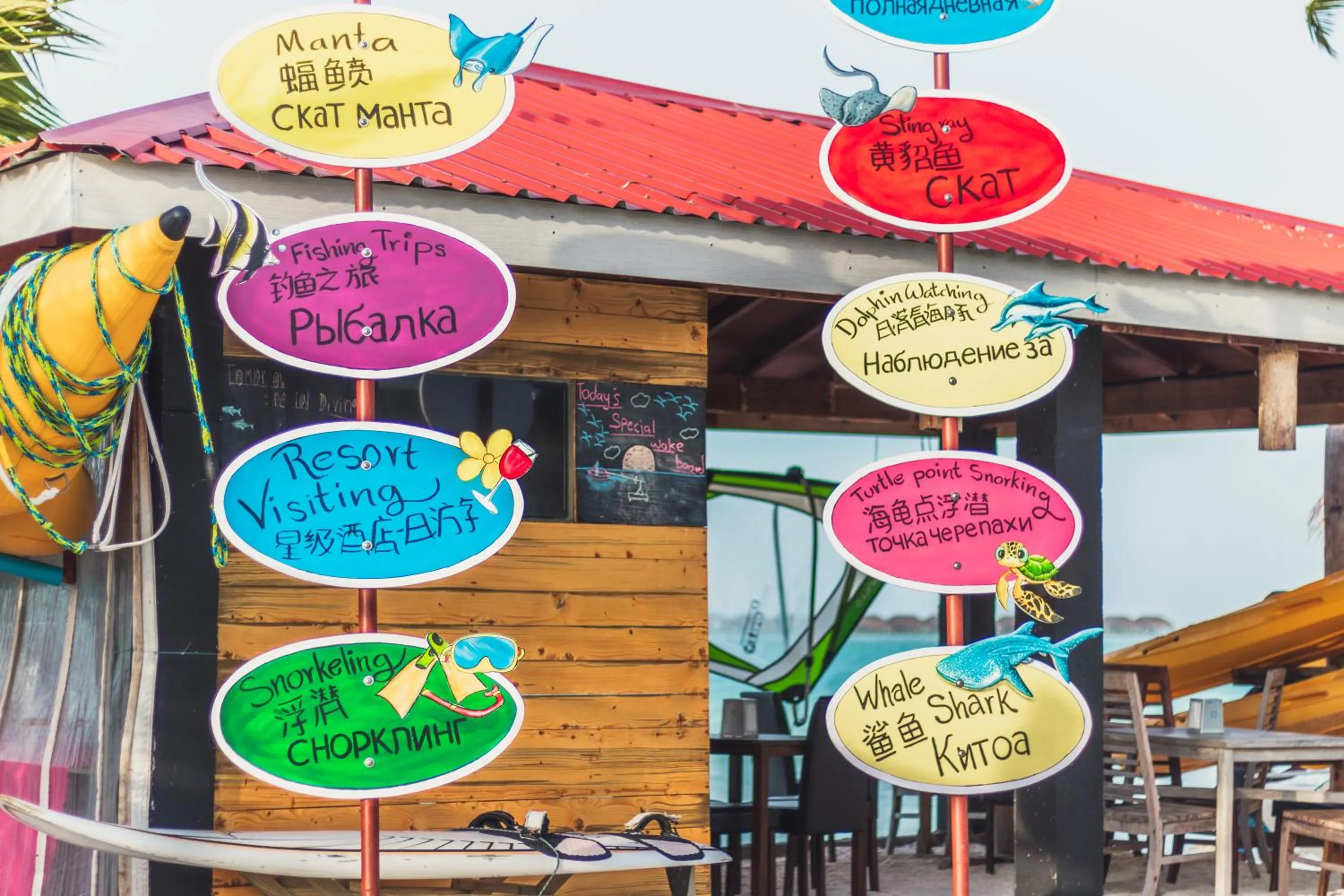 Diving in Sky Beach Maldives - Dhiffushi