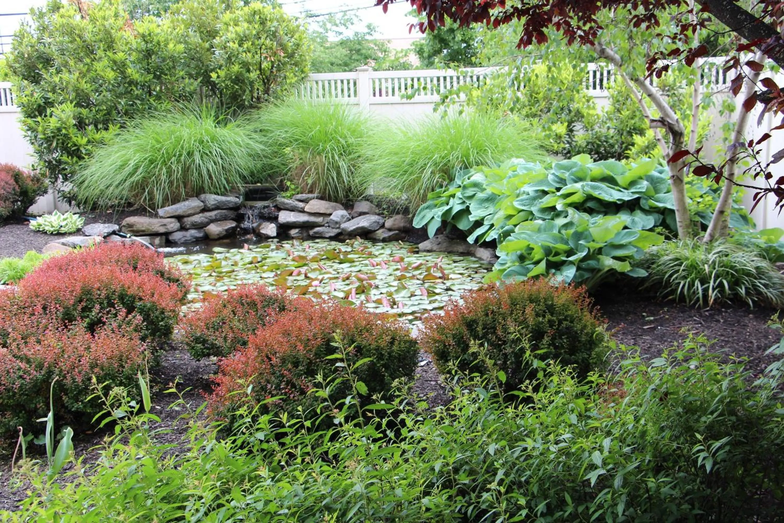 Other in Courtyard by Marriott Lyndhurst/Meadowlands