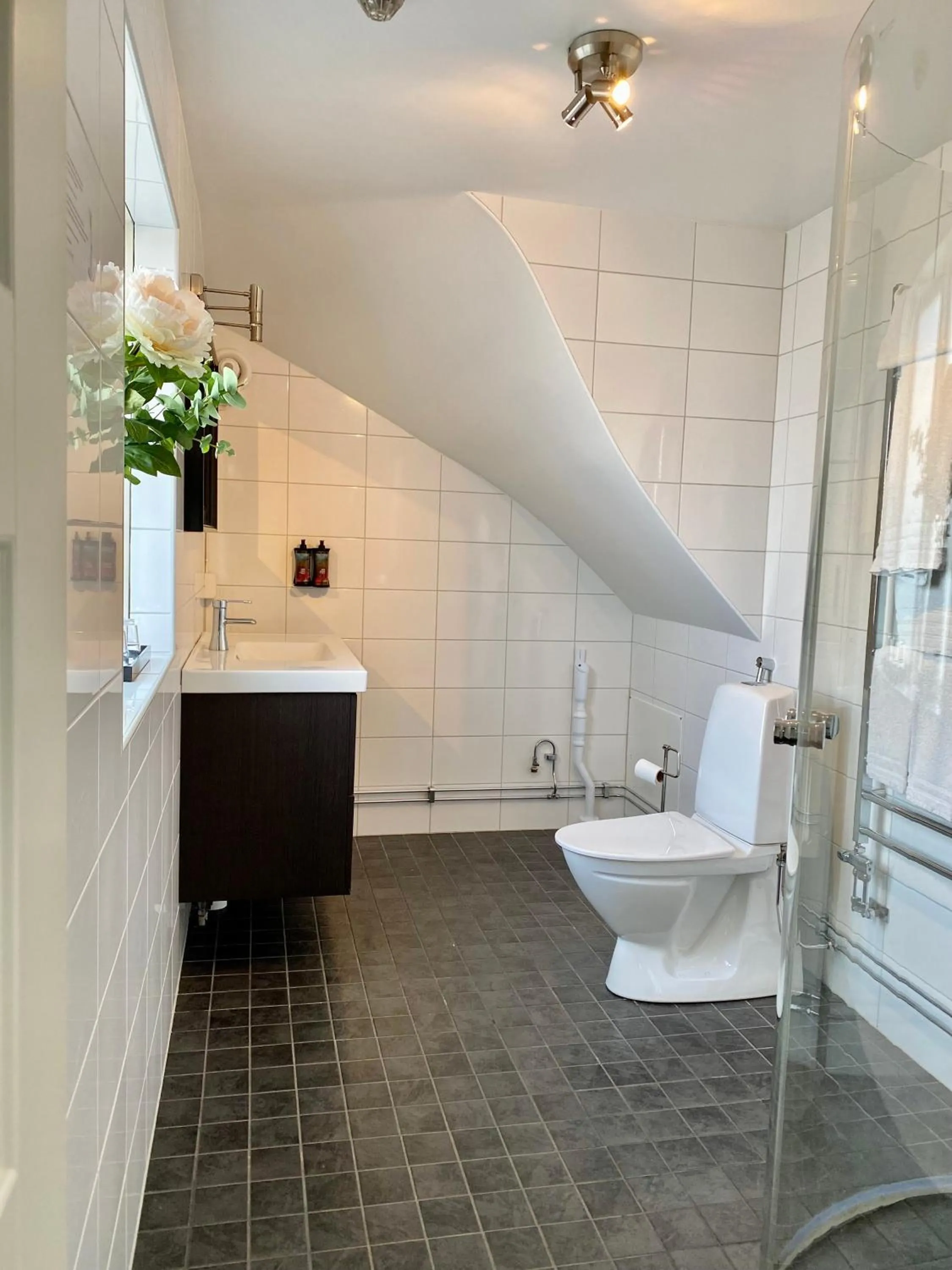 Shower in Grenna Hotell