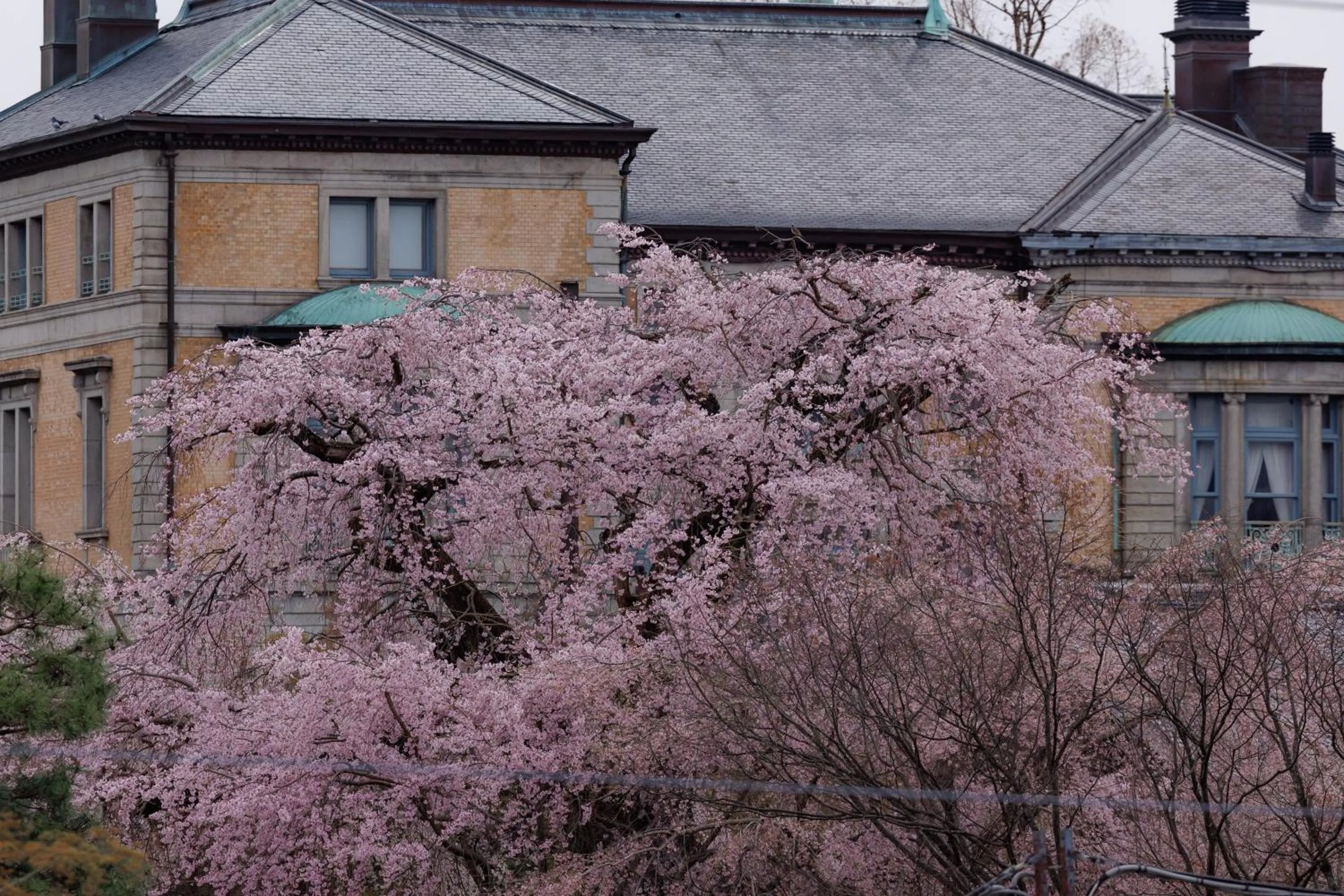 Property building in Hotel Chourakukan Kyoto Gion 長楽館 京都