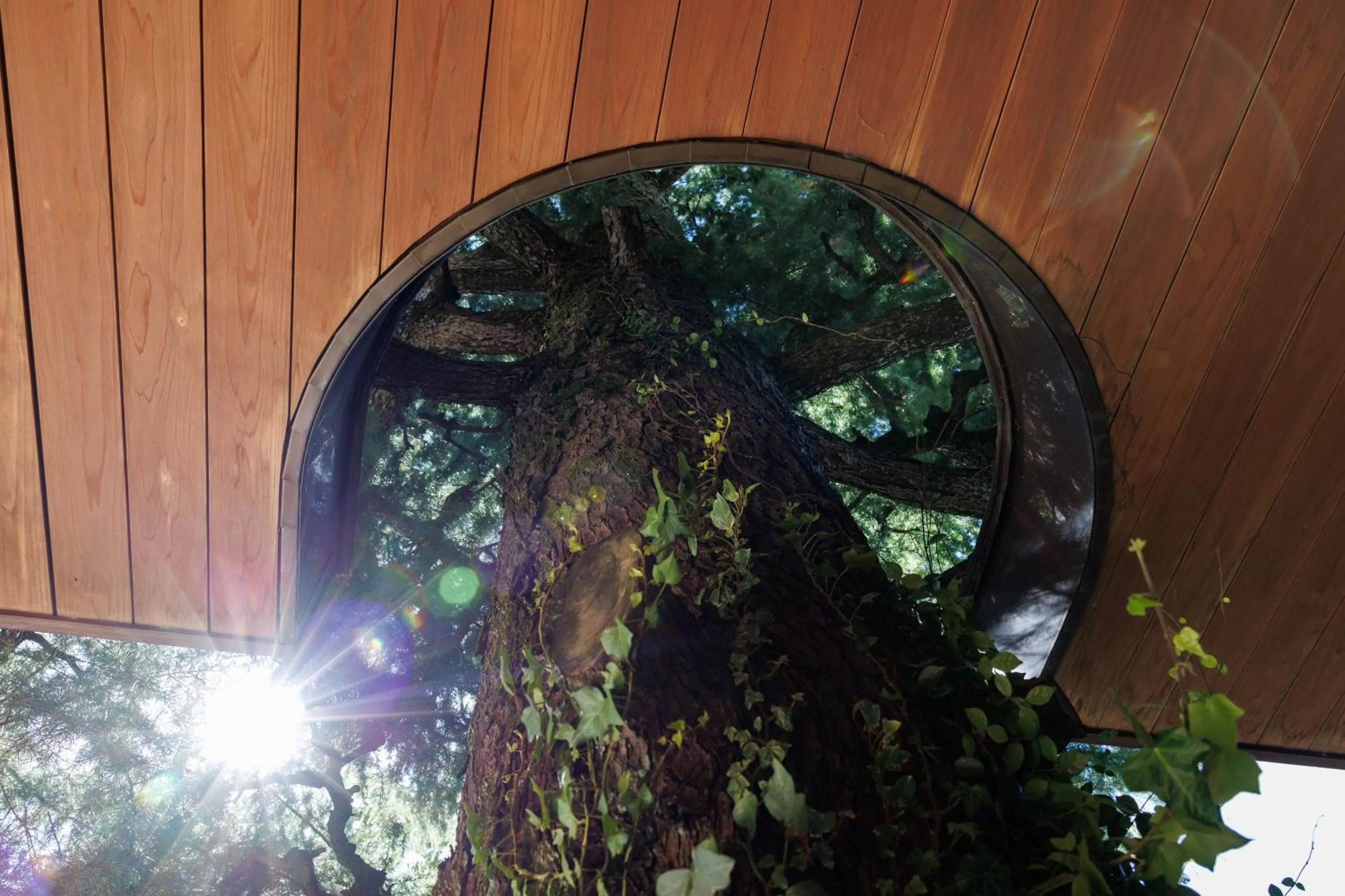 Natural landscape in Hotel Chourakukan Kyoto Gion 長楽館 京都