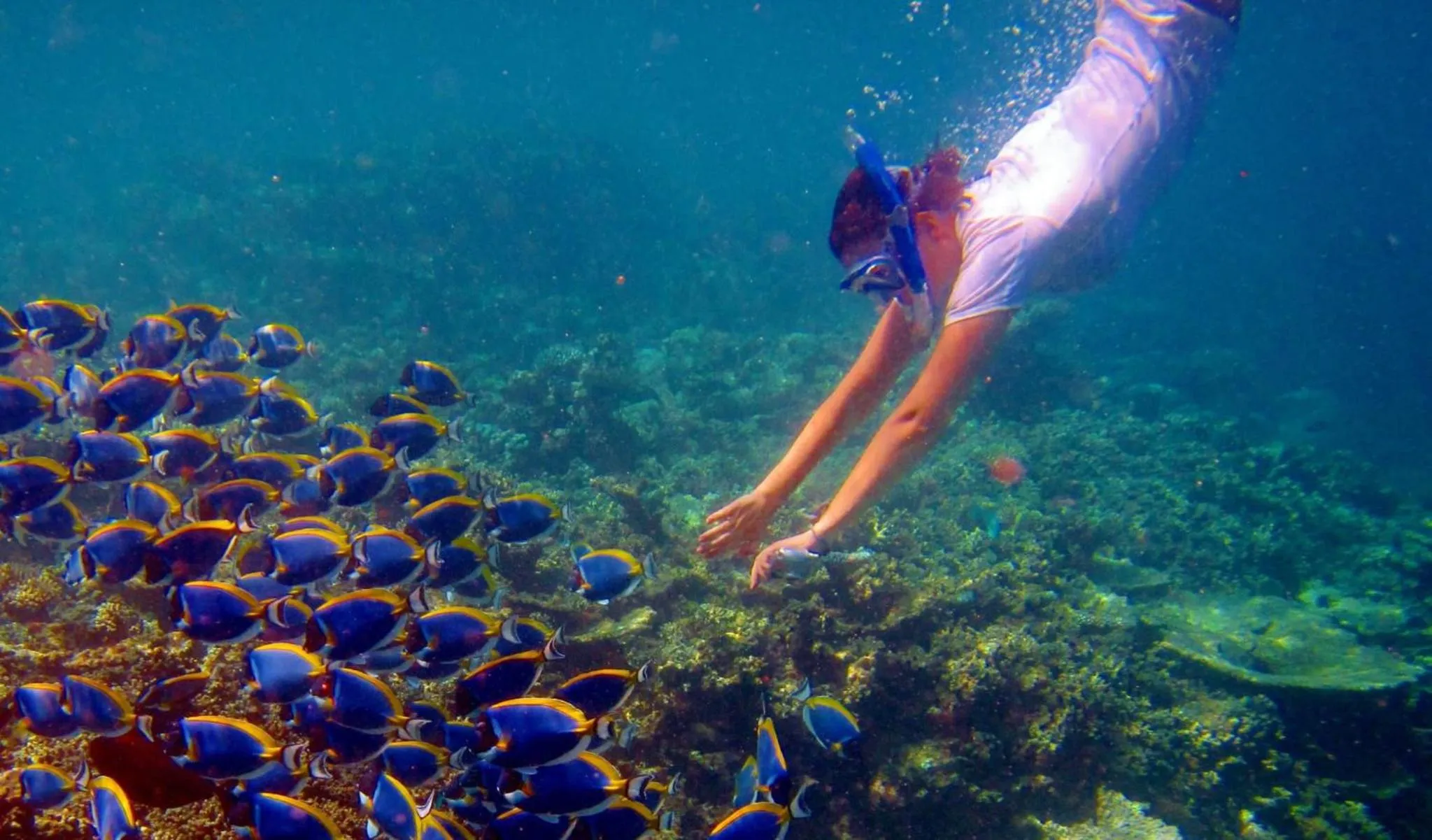 Snorkeling in Palm Gate Maldives