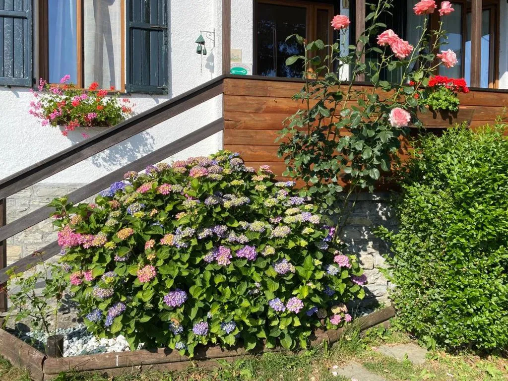 Property building in B&B La Soldanella