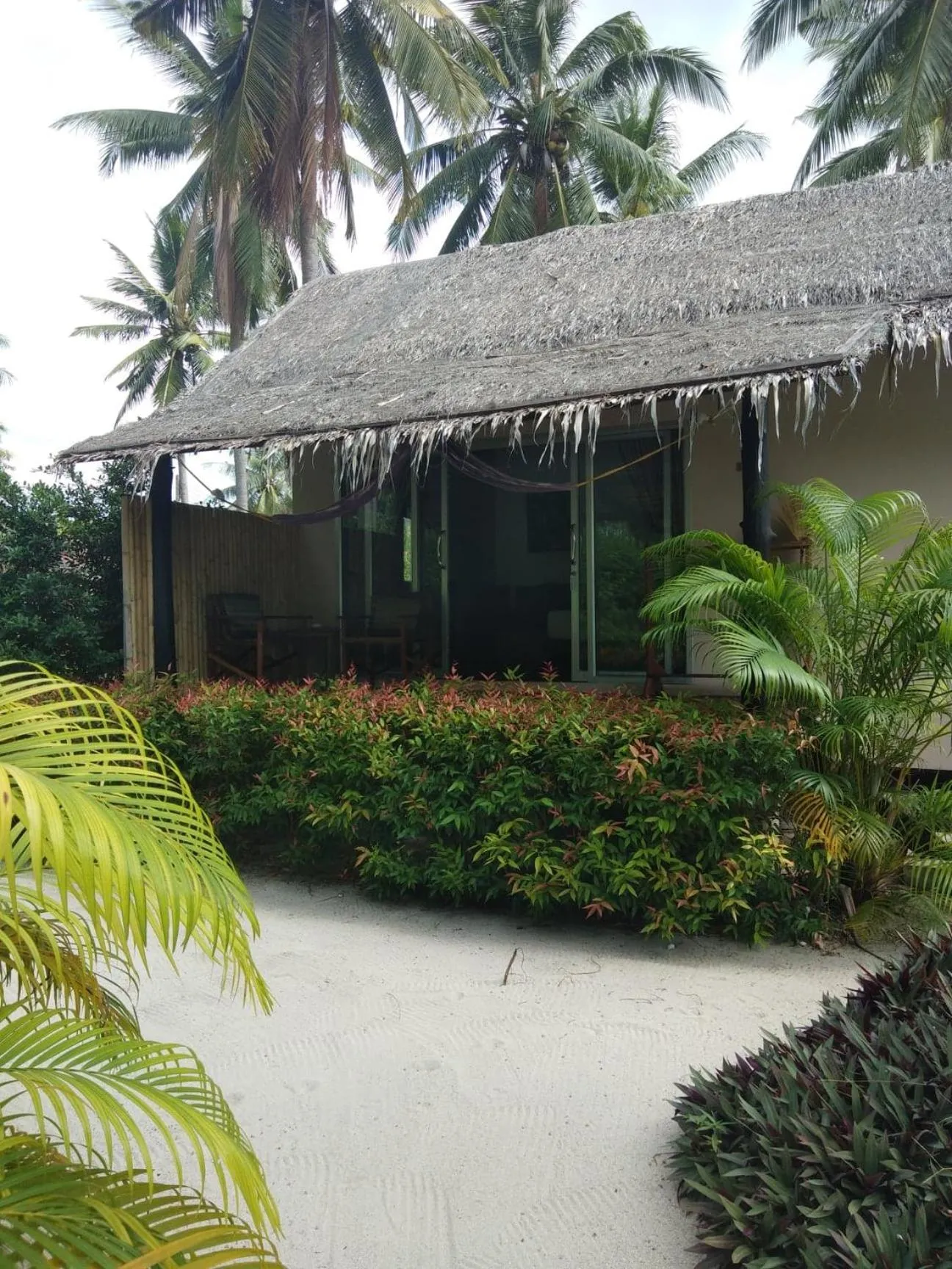 Garden in Angkana Bungalows adults only