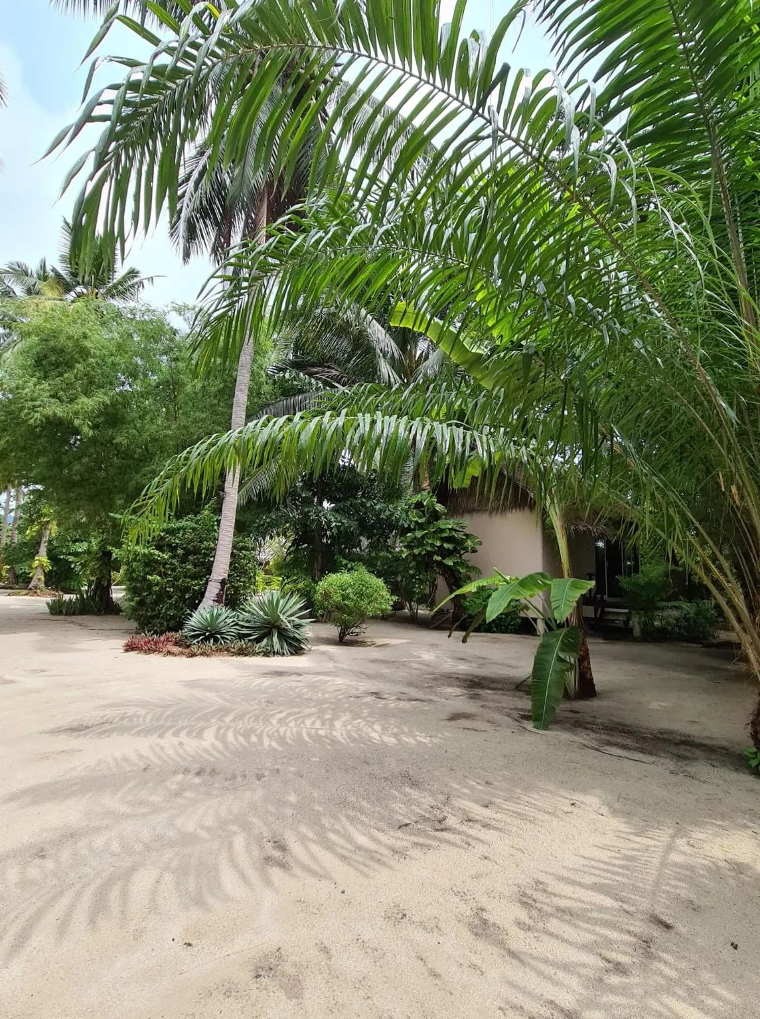 Property building in Angkana Bungalows adults only