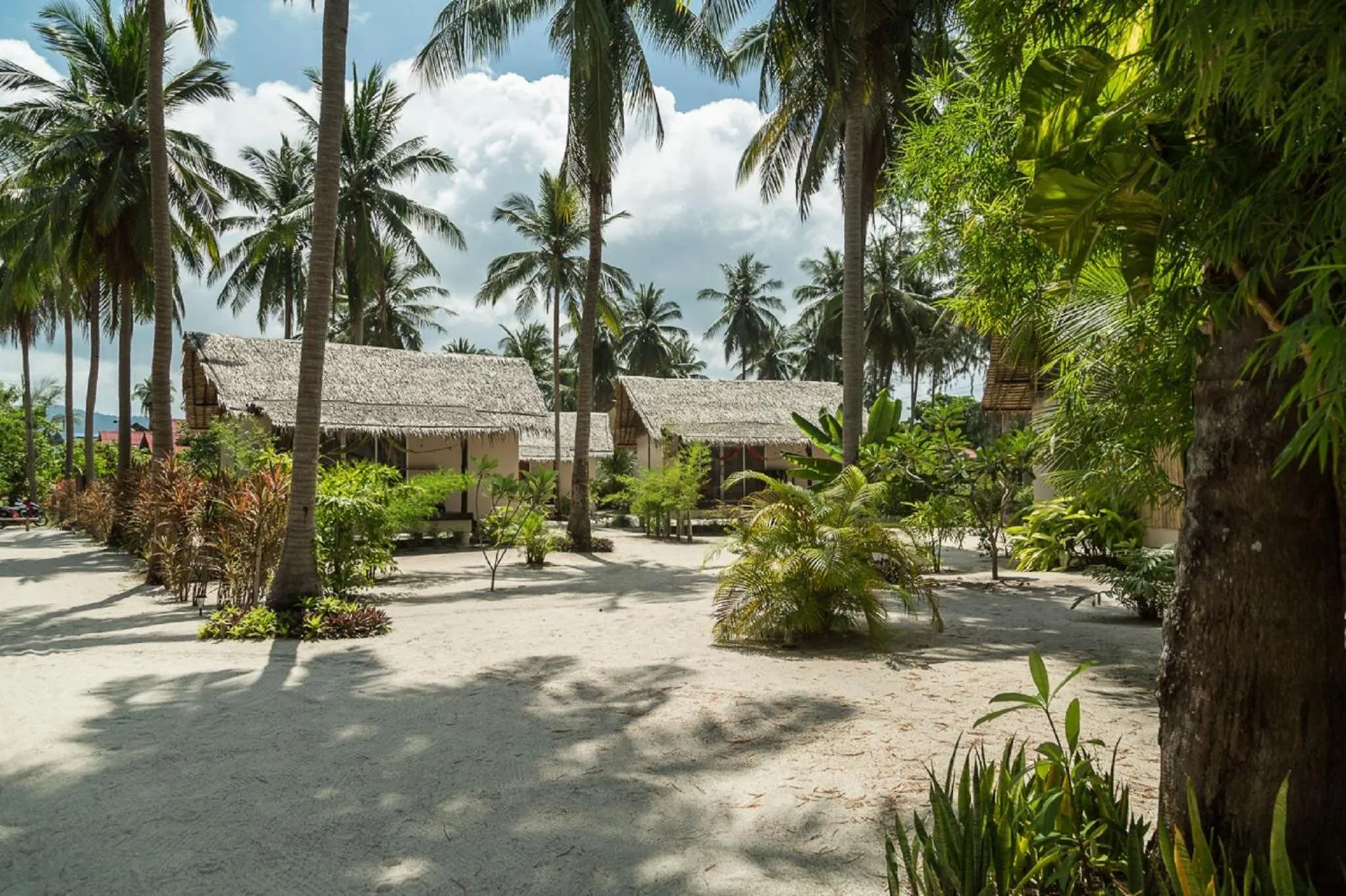 Garden view in Angkana Bungalows adults only