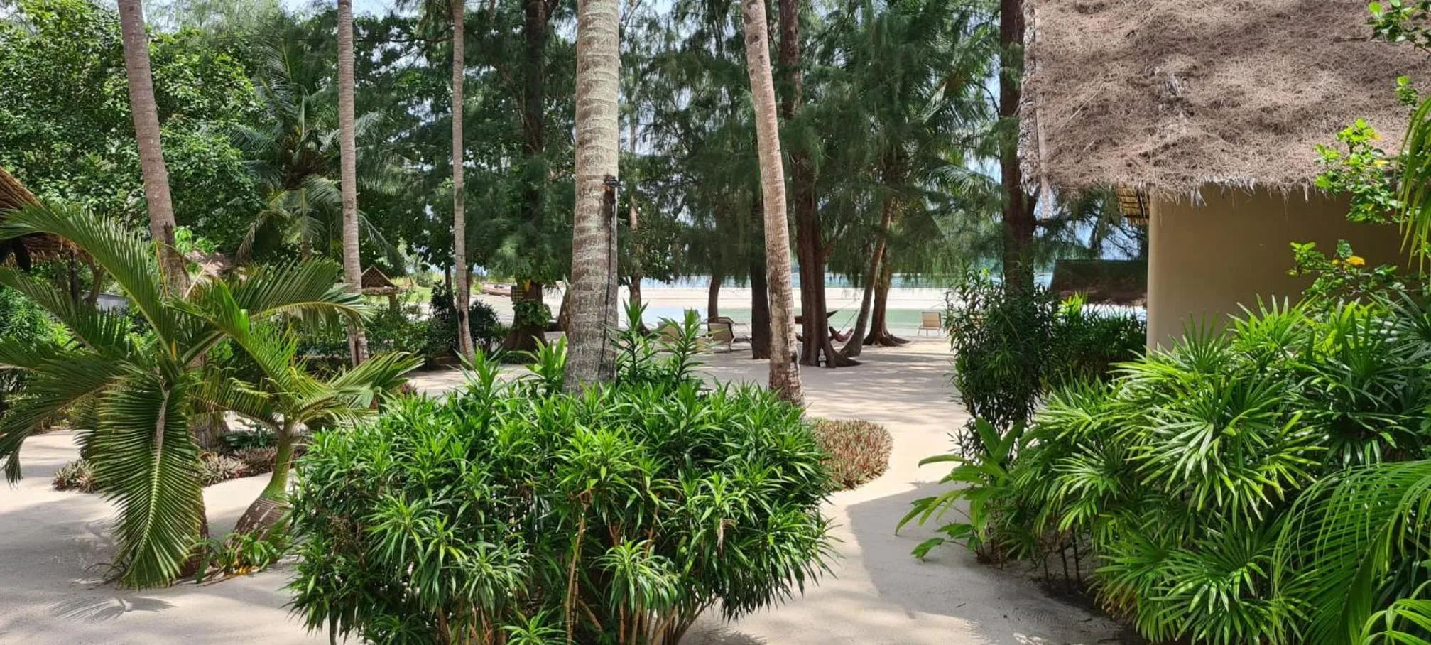 Property building in Angkana Bungalows adults only