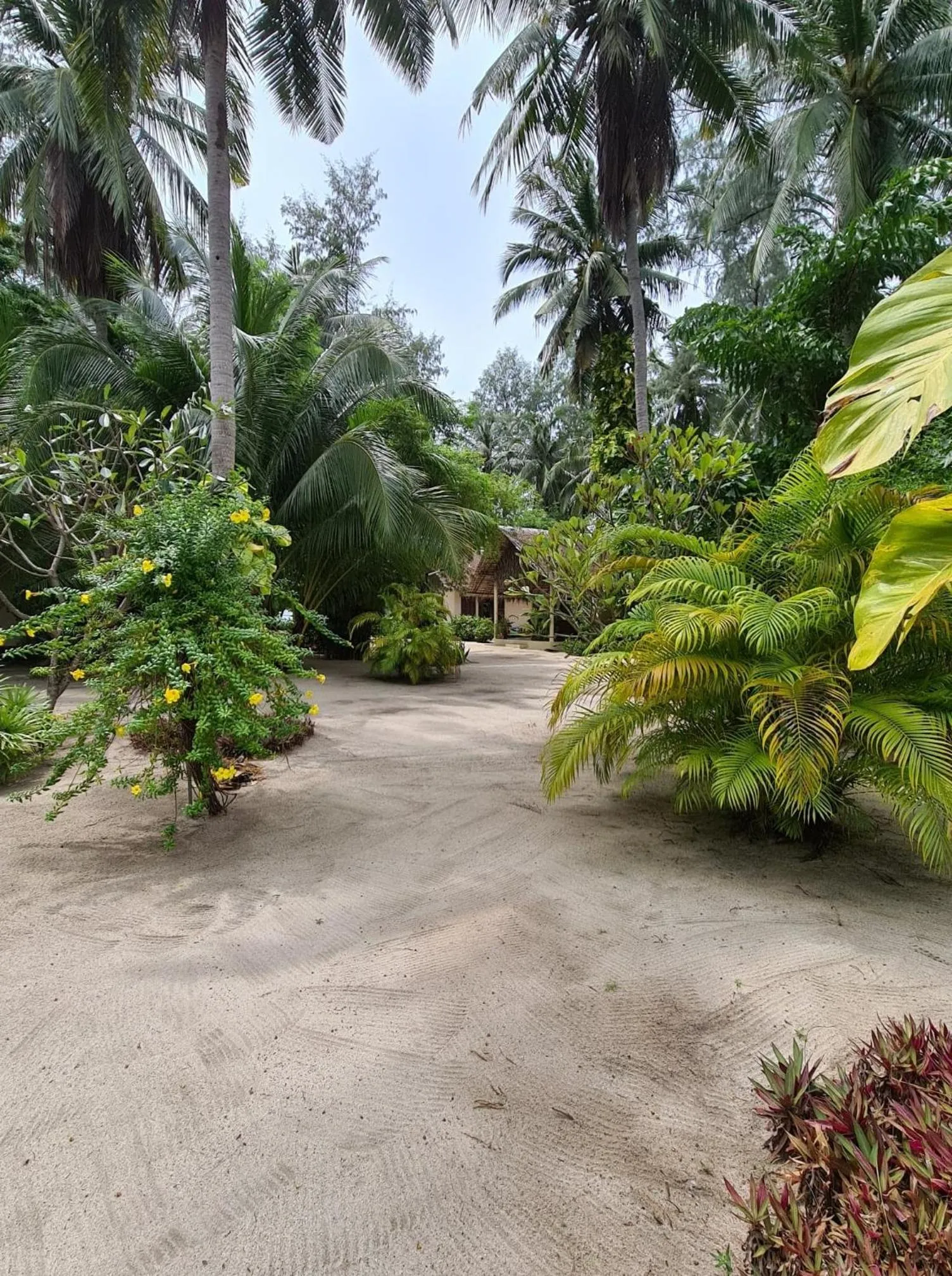 Property building in Angkana Bungalows adults only