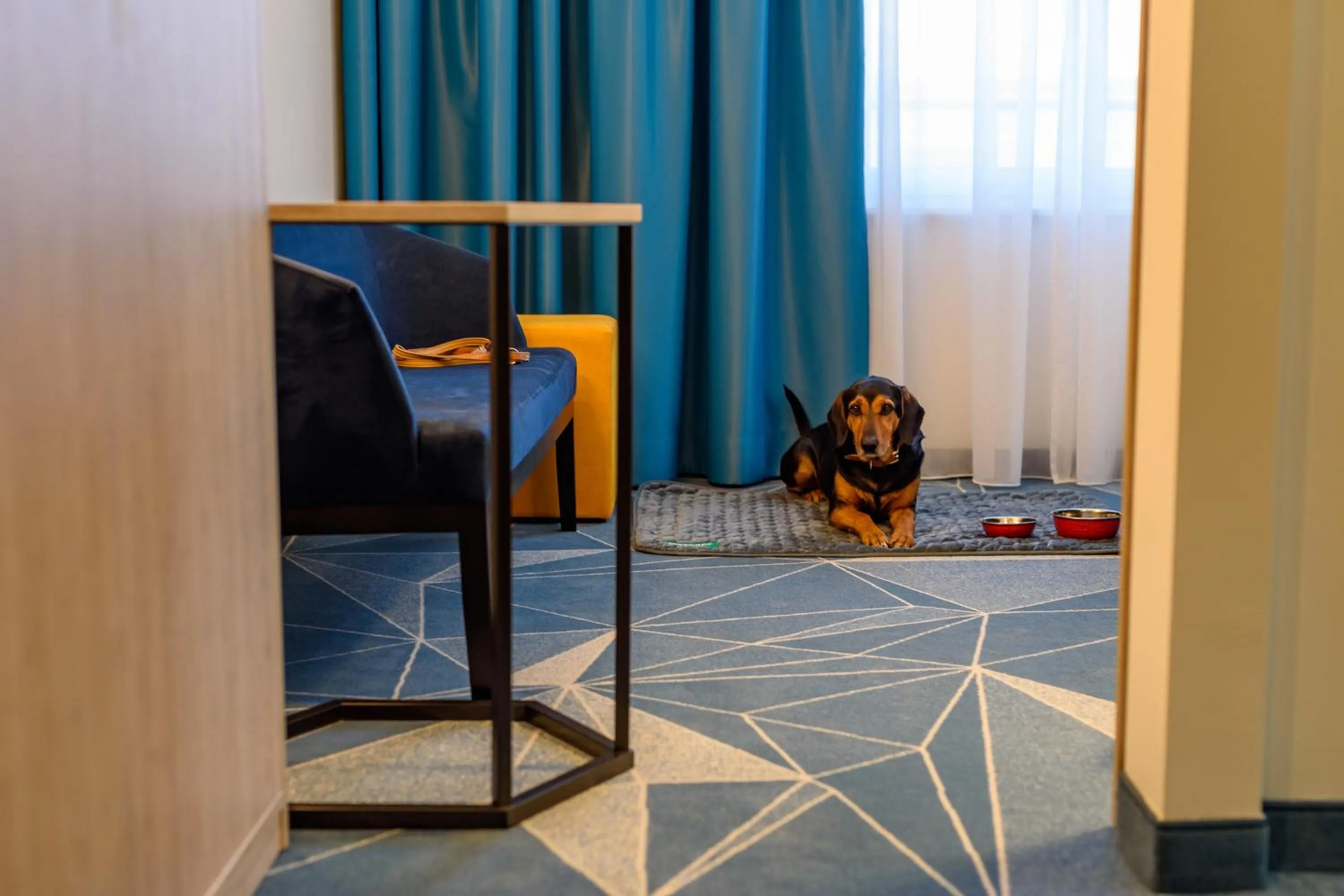 Pets in ibis Styles Bad Reichenhall