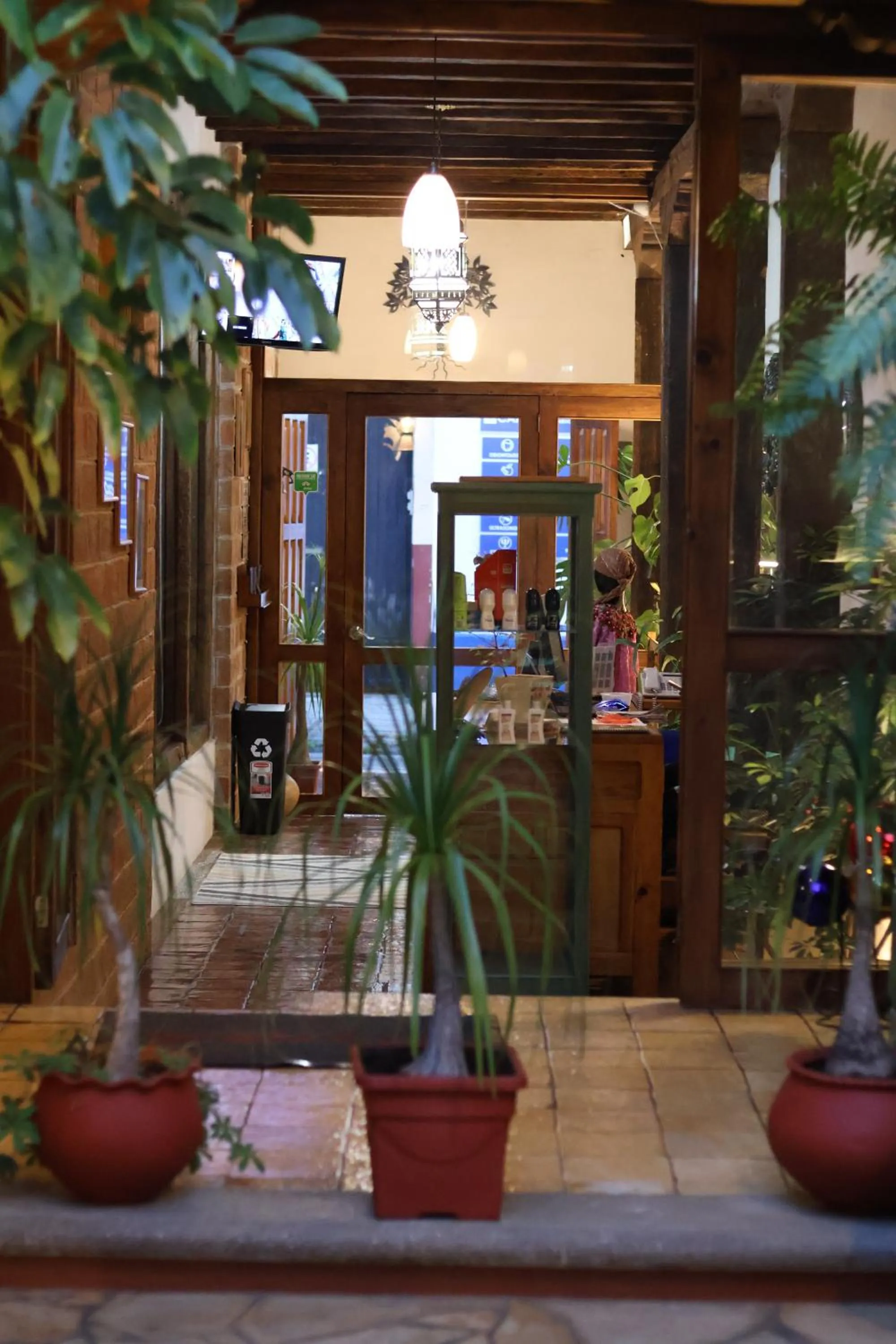 Garden in Hotel El Zaguán Histórico