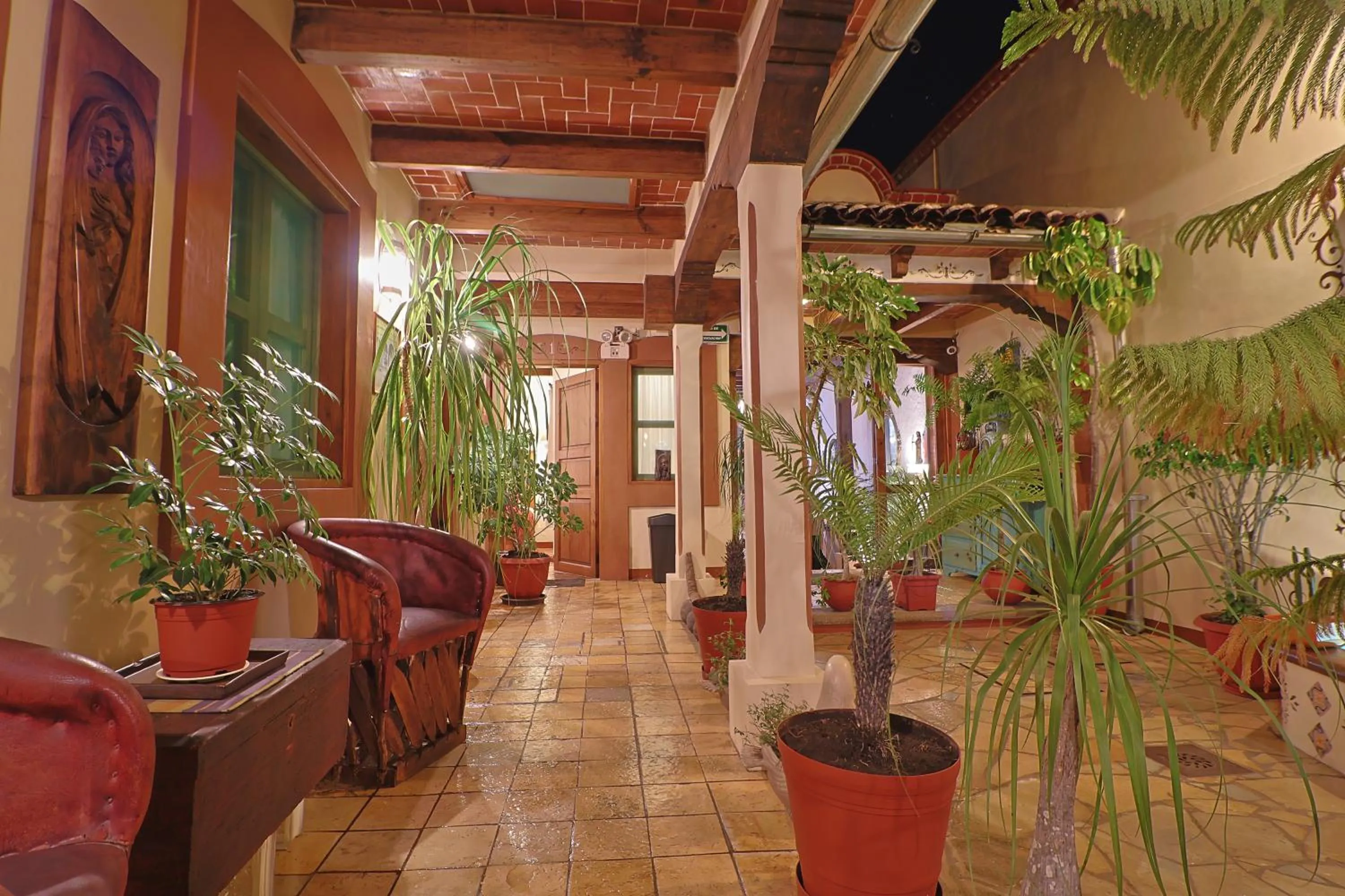 Garden in Hotel El Zaguán Histórico