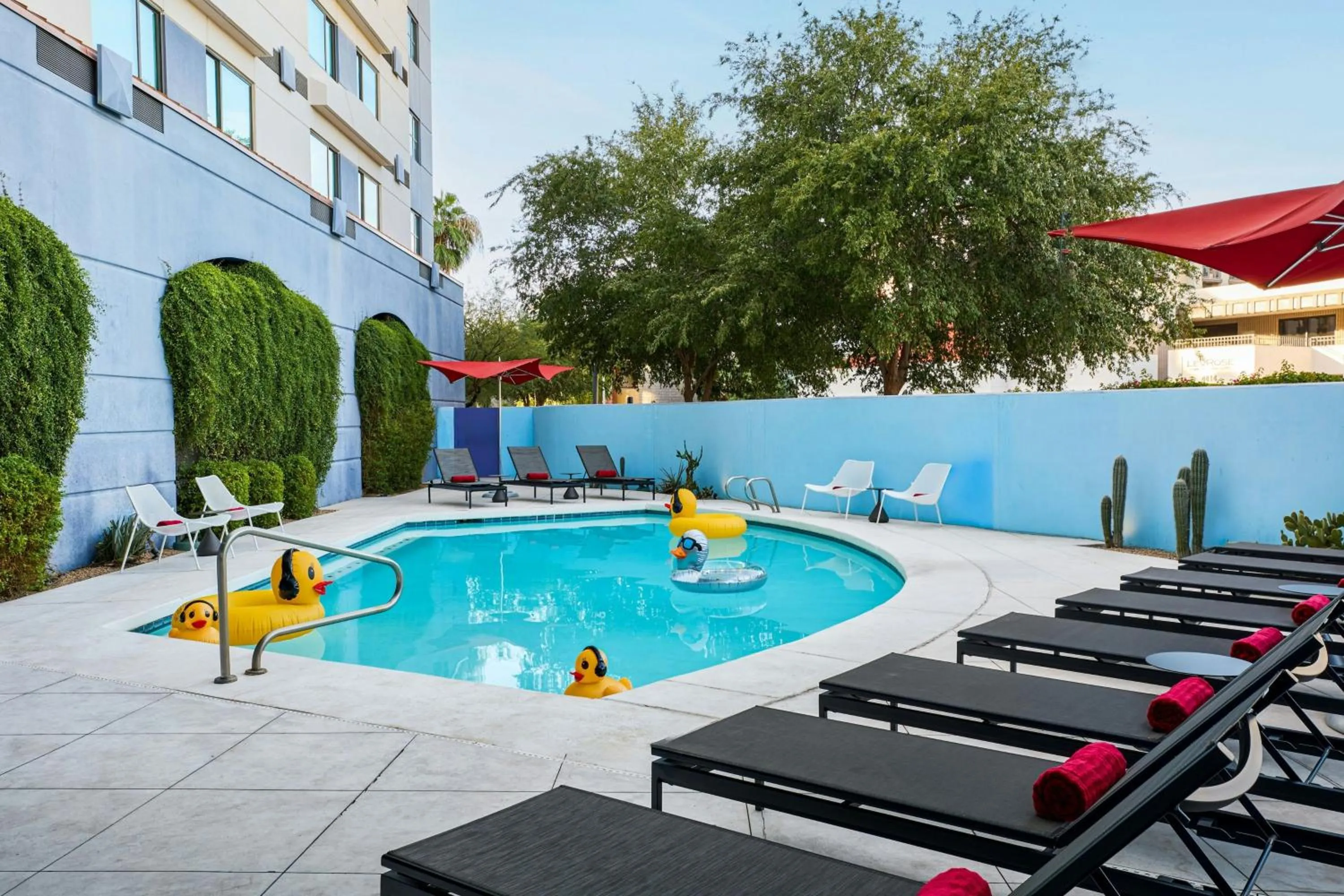 Swimming pool in Aloft Scottsdale