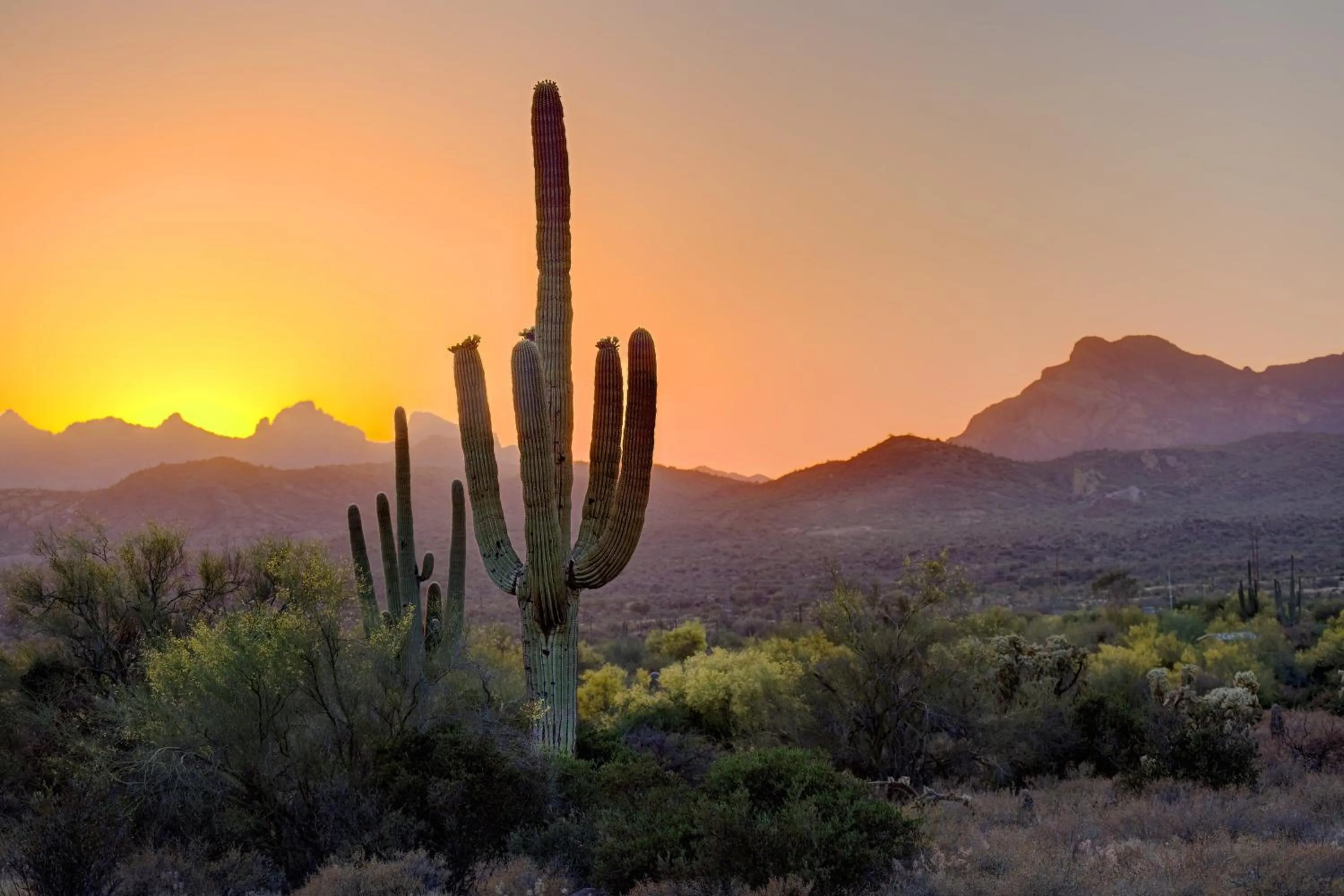 Nearby landmark in Aloft Scottsdale