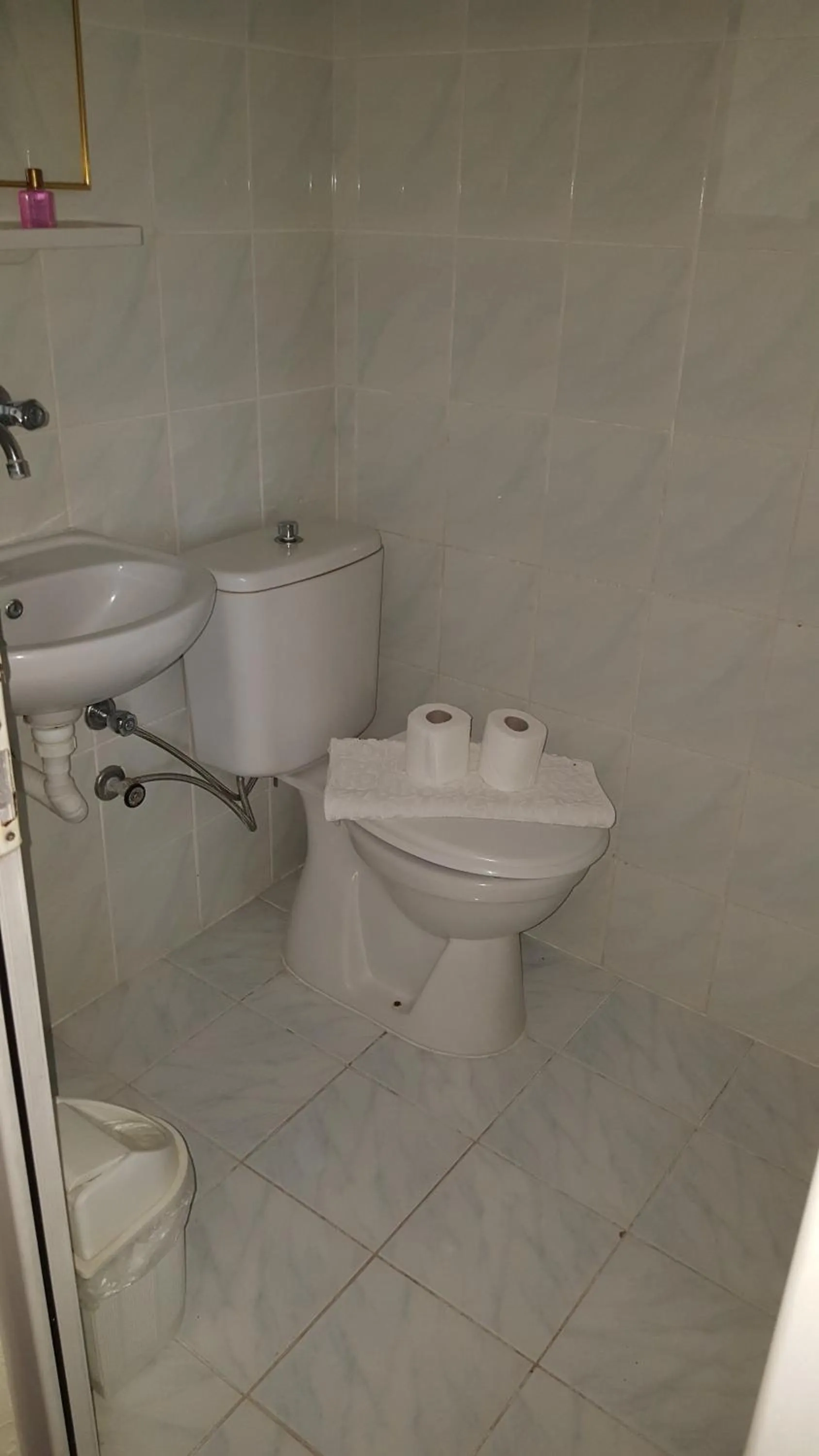 Toilet in Hotel Berlin