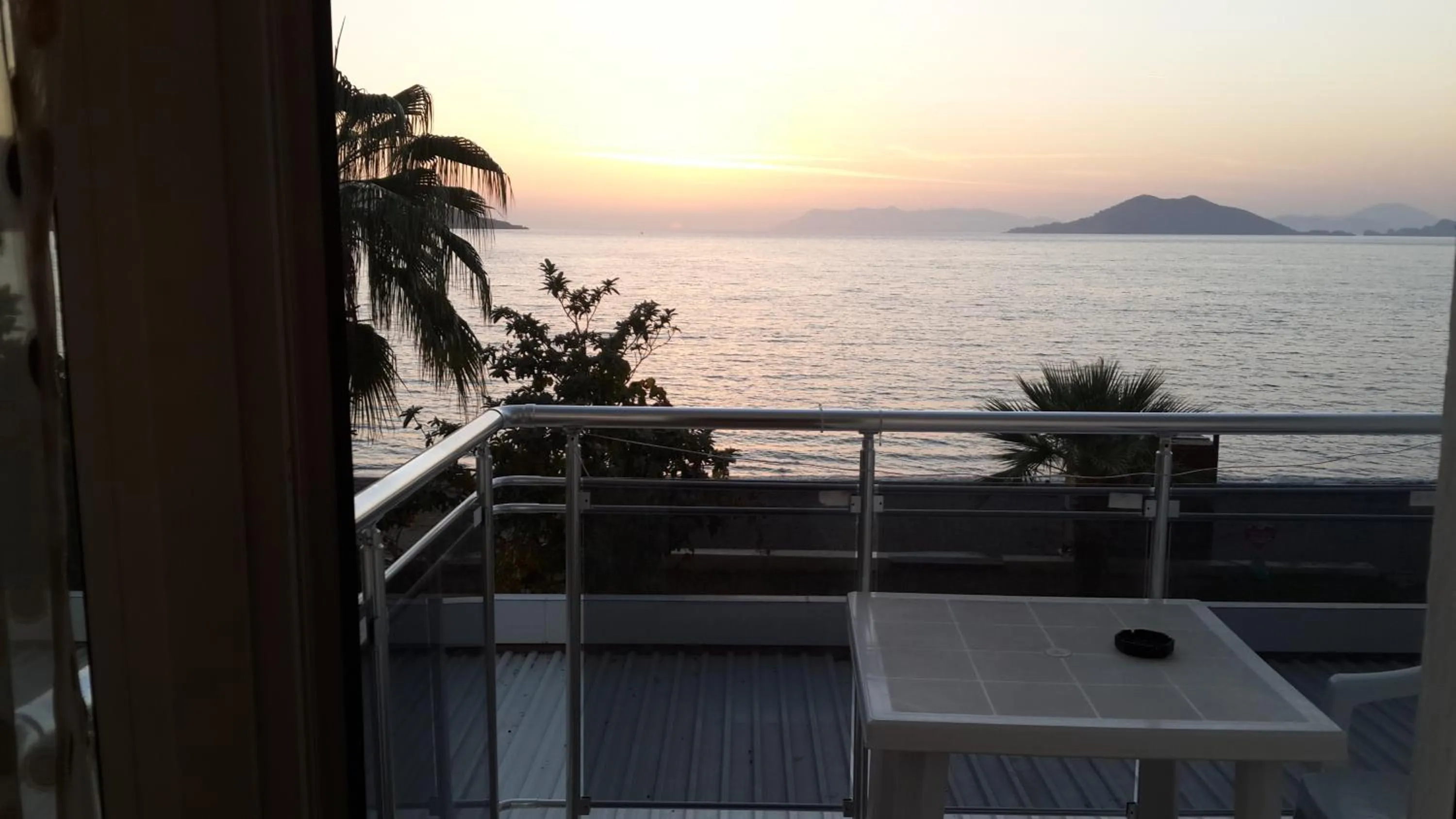 Summer in Hotel Berlin