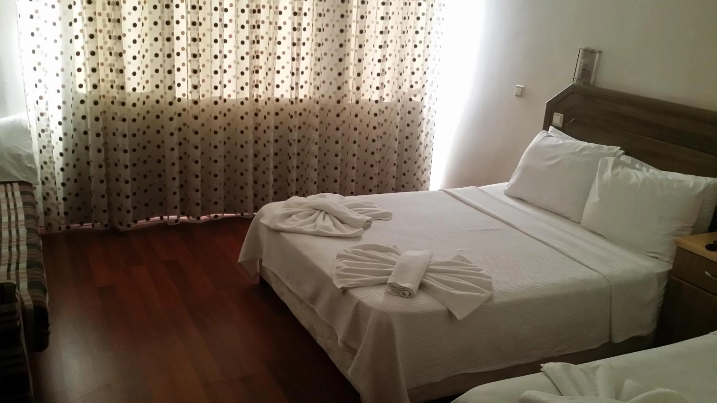 Photo of the whole room in Hotel Berlin