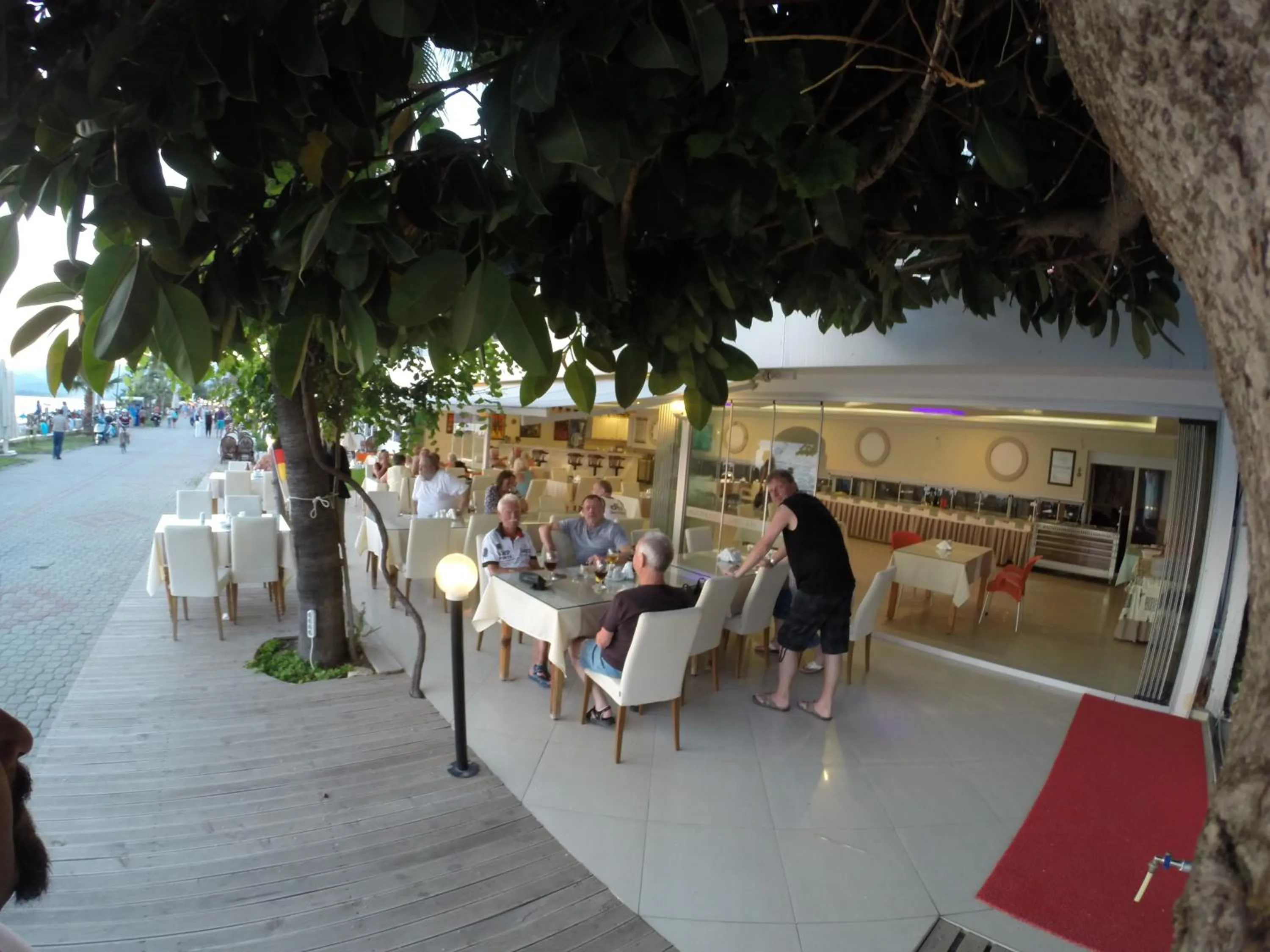 Garden in Hotel Berlin