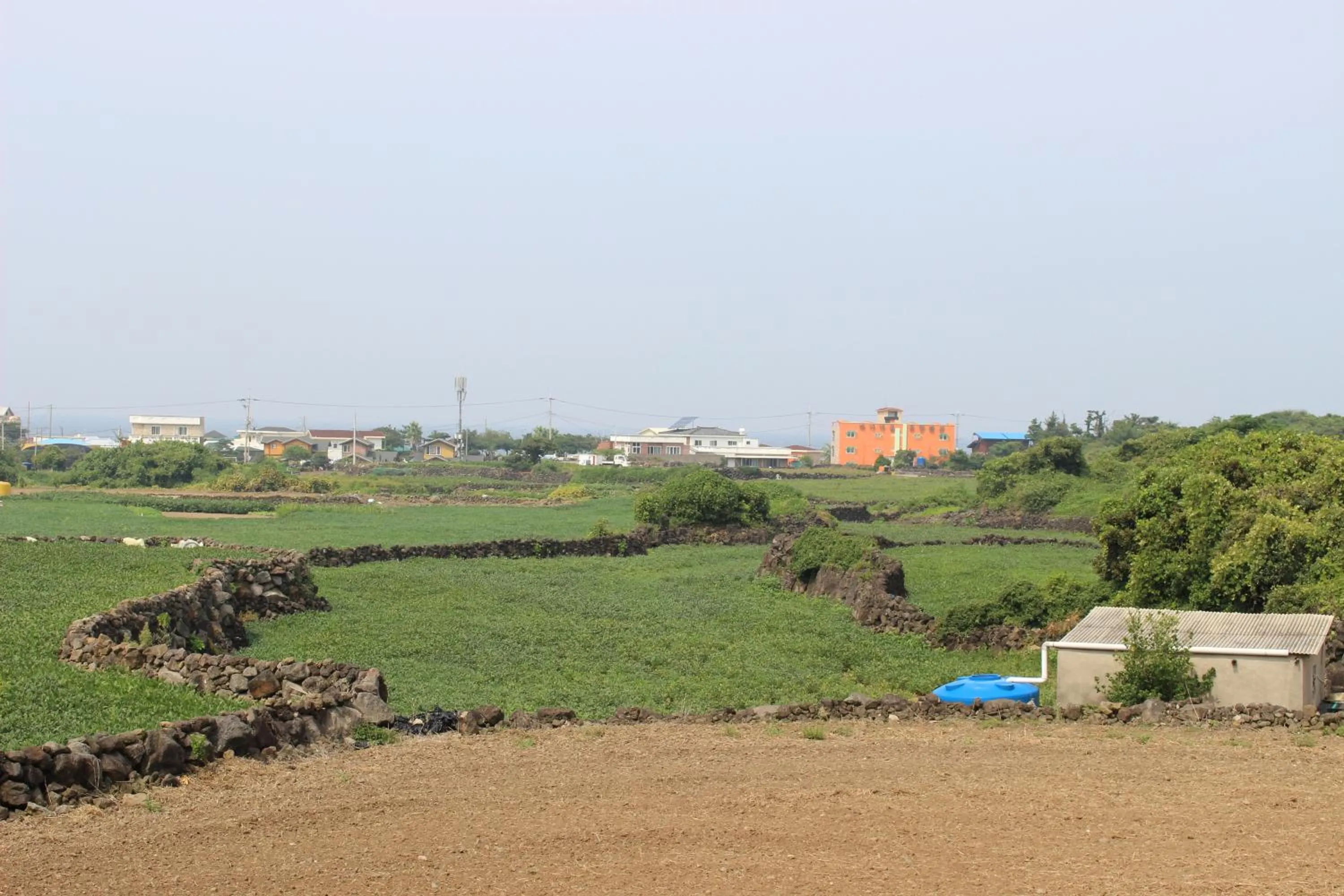 Other in Jeju Feel House