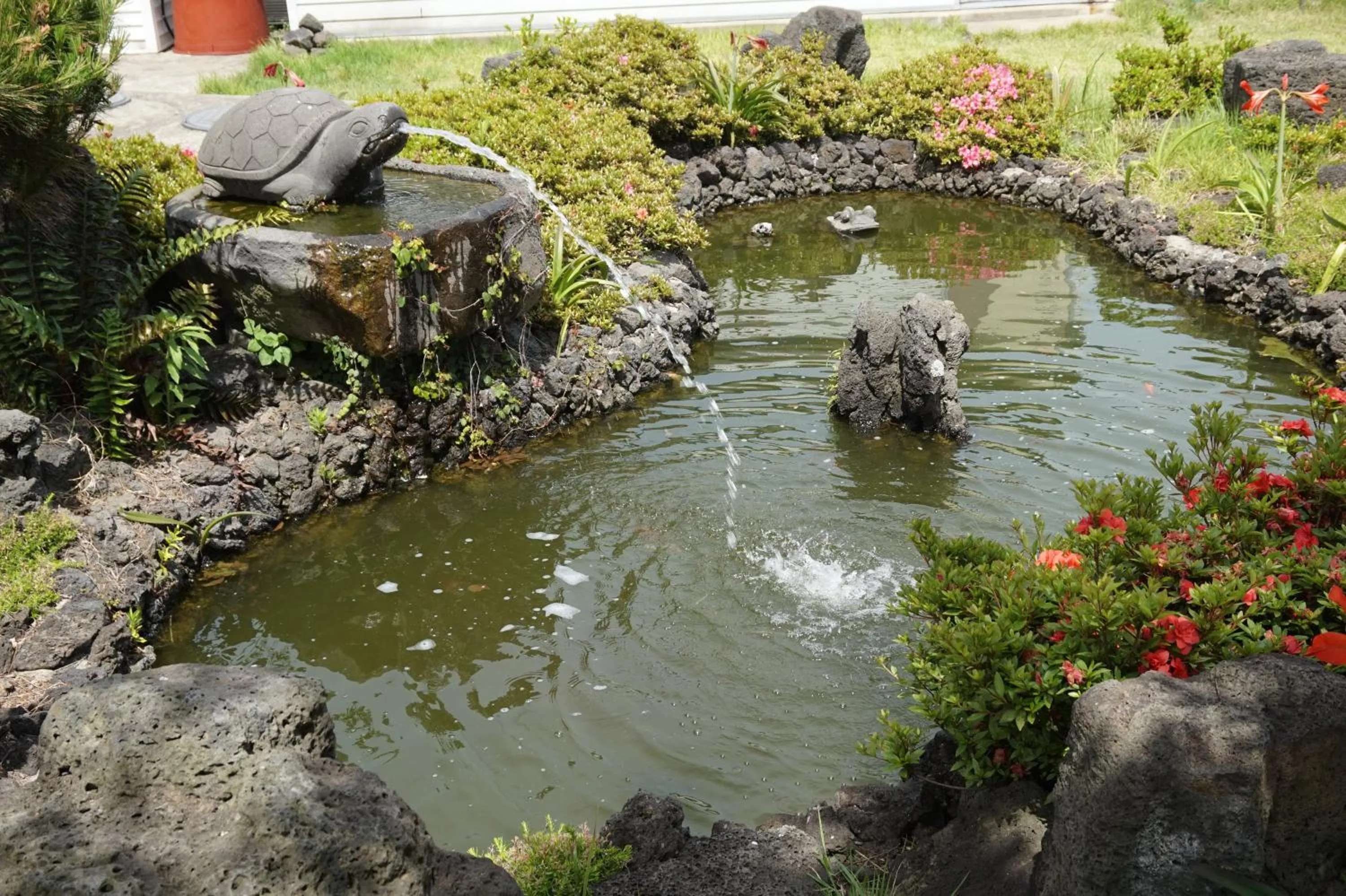 Garden in Jeju Feel House